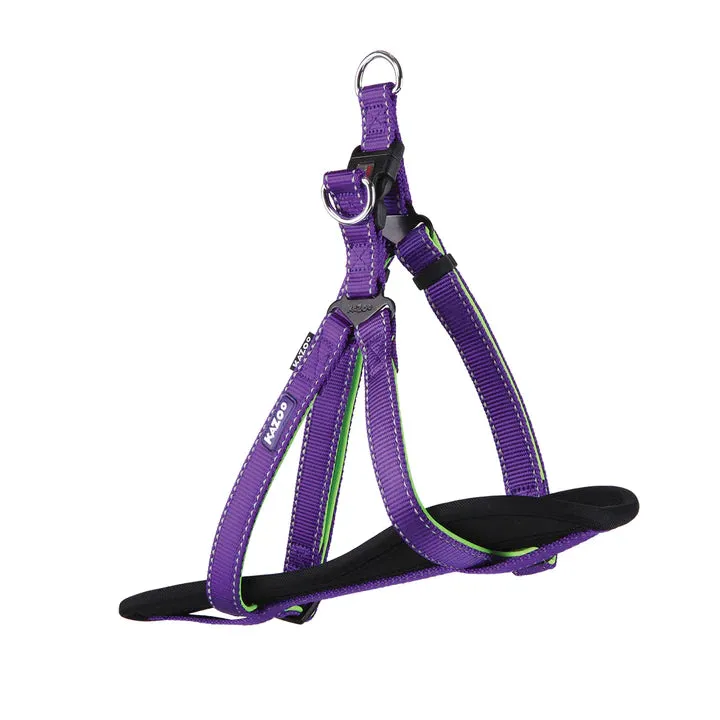 Active Walking Harness