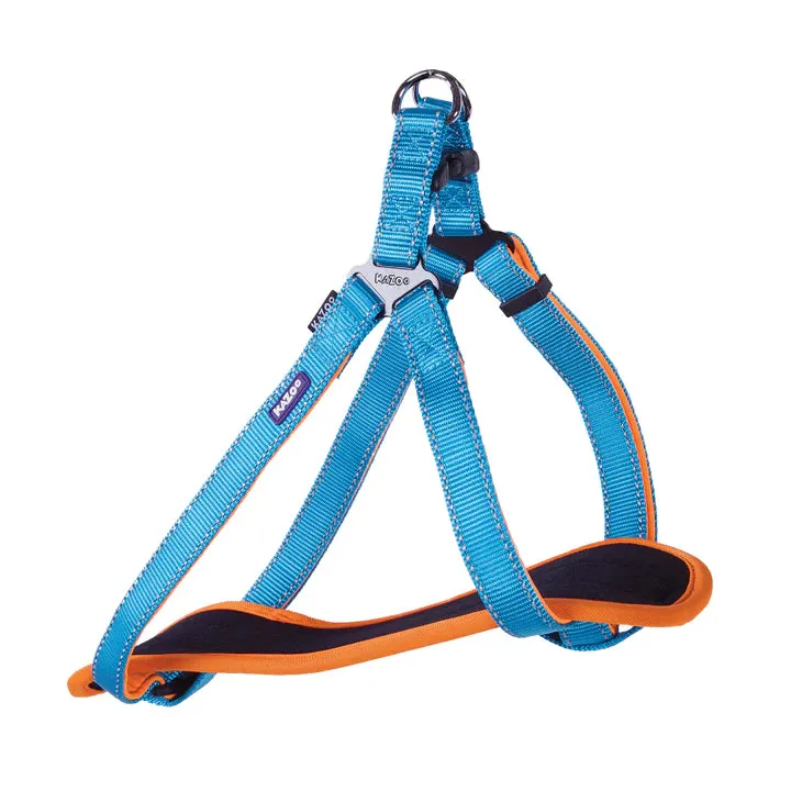 Active Walking Harness
