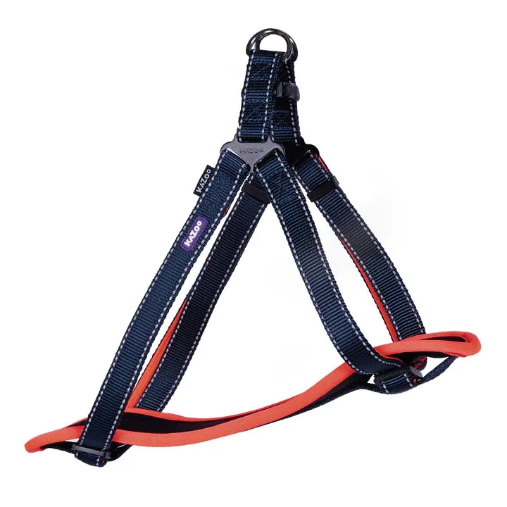 Active Walking Harness