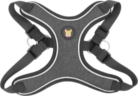 Adjustable Dog Harness Vest and Leash Set for Small, Medium Dogs No Pull, Step in Escape Proof Reflective Easy Walk Puppy Harness, Black, S (Comes with A Measuring Tape)