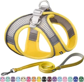 AIITLE Step in Dog Harness and Leash Set - Summer No Pull Escape Proof Harnesses with Soft Mesh and Reflective Bands, Adjustable Pet Outdoor Vest for Small and Medium Dogs Yellow M