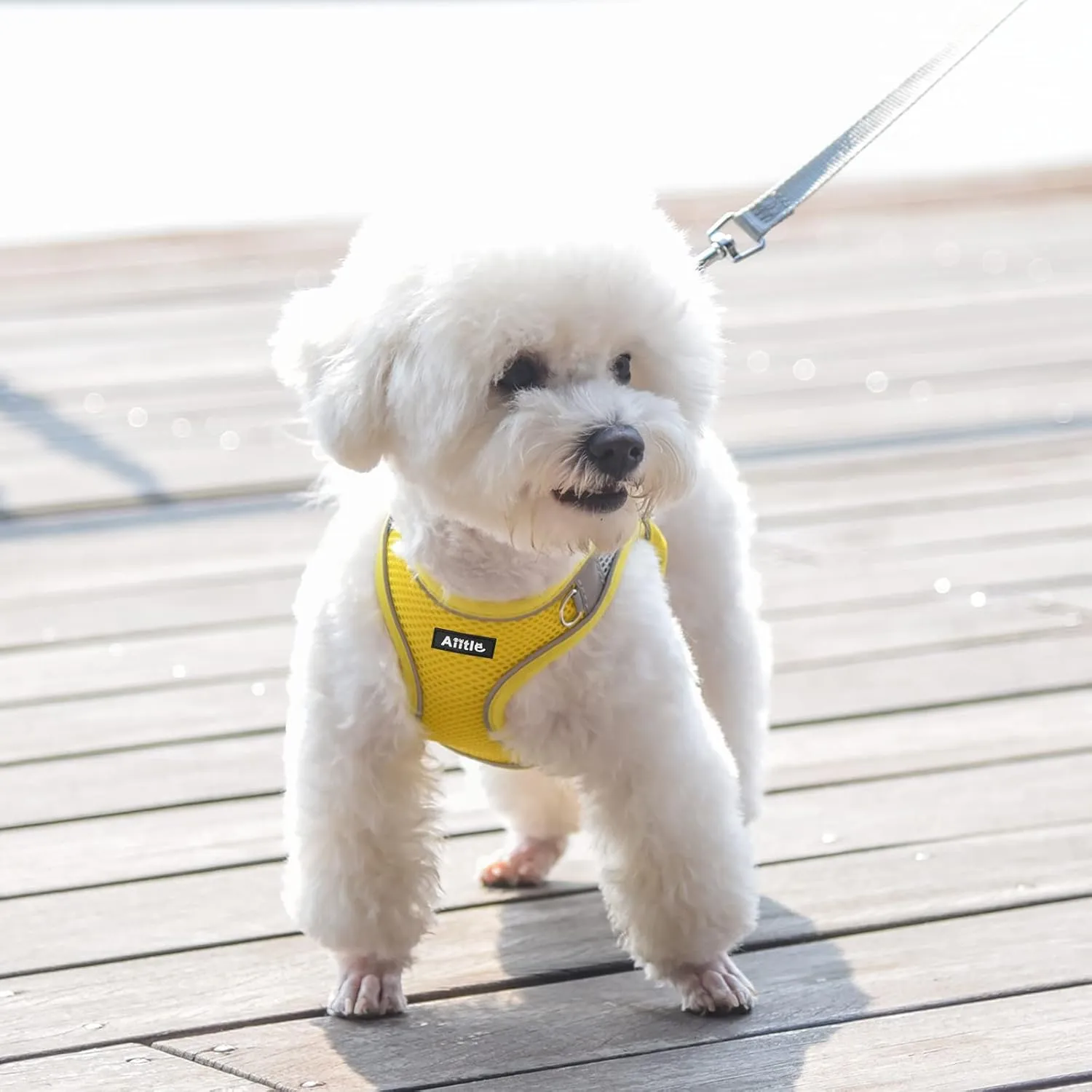 AIITLE Step in Dog Harness and Leash Set - Summer No Pull Escape Proof Harnesses with Soft Mesh and Reflective Bands, Adjustable Pet Outdoor Vest for Small and Medium Dogs Yellow M