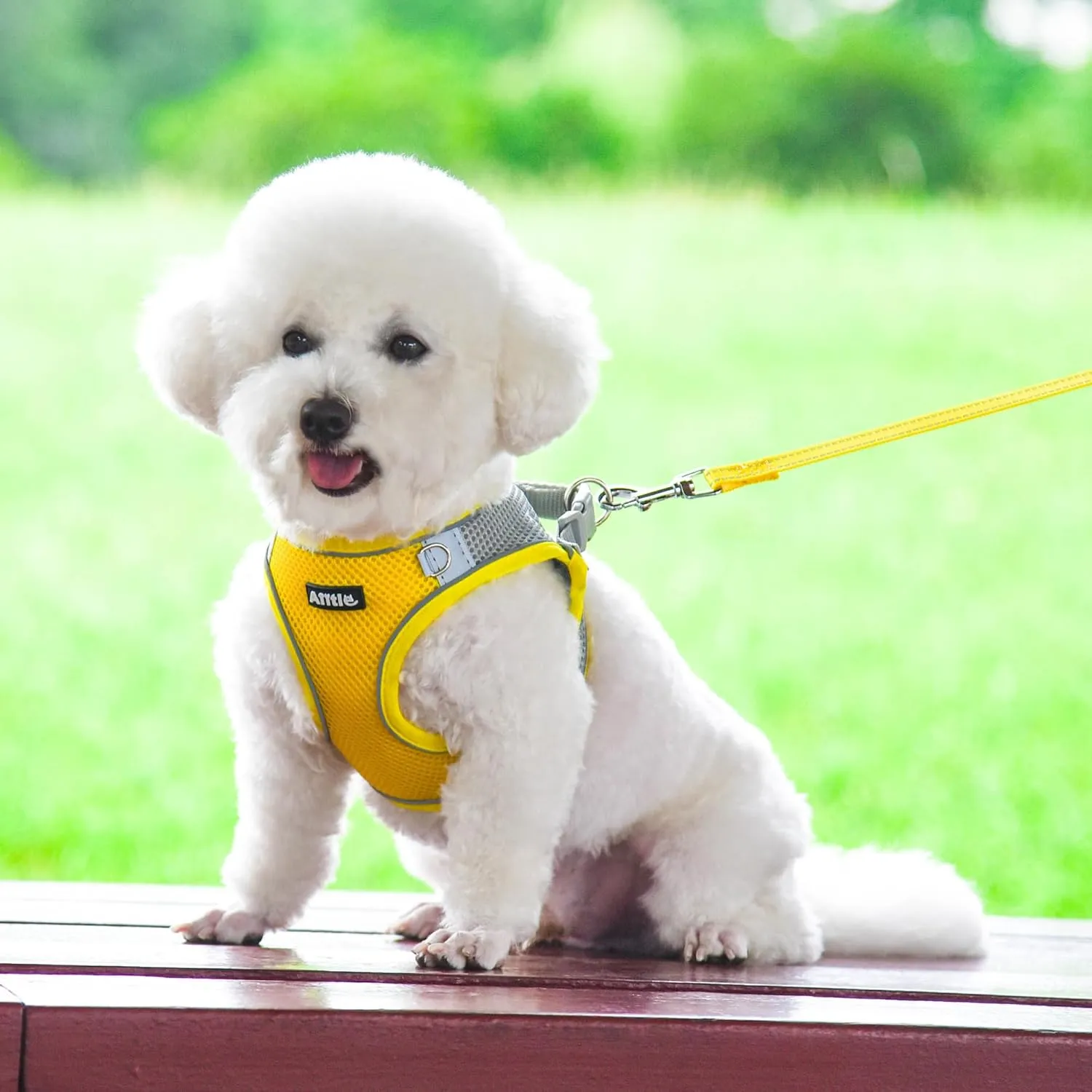 AIITLE Step in Dog Harness and Leash Set - Summer No Pull Escape Proof Harnesses with Soft Mesh and Reflective Bands, Adjustable Pet Outdoor Vest for Small and Medium Dogs Yellow M