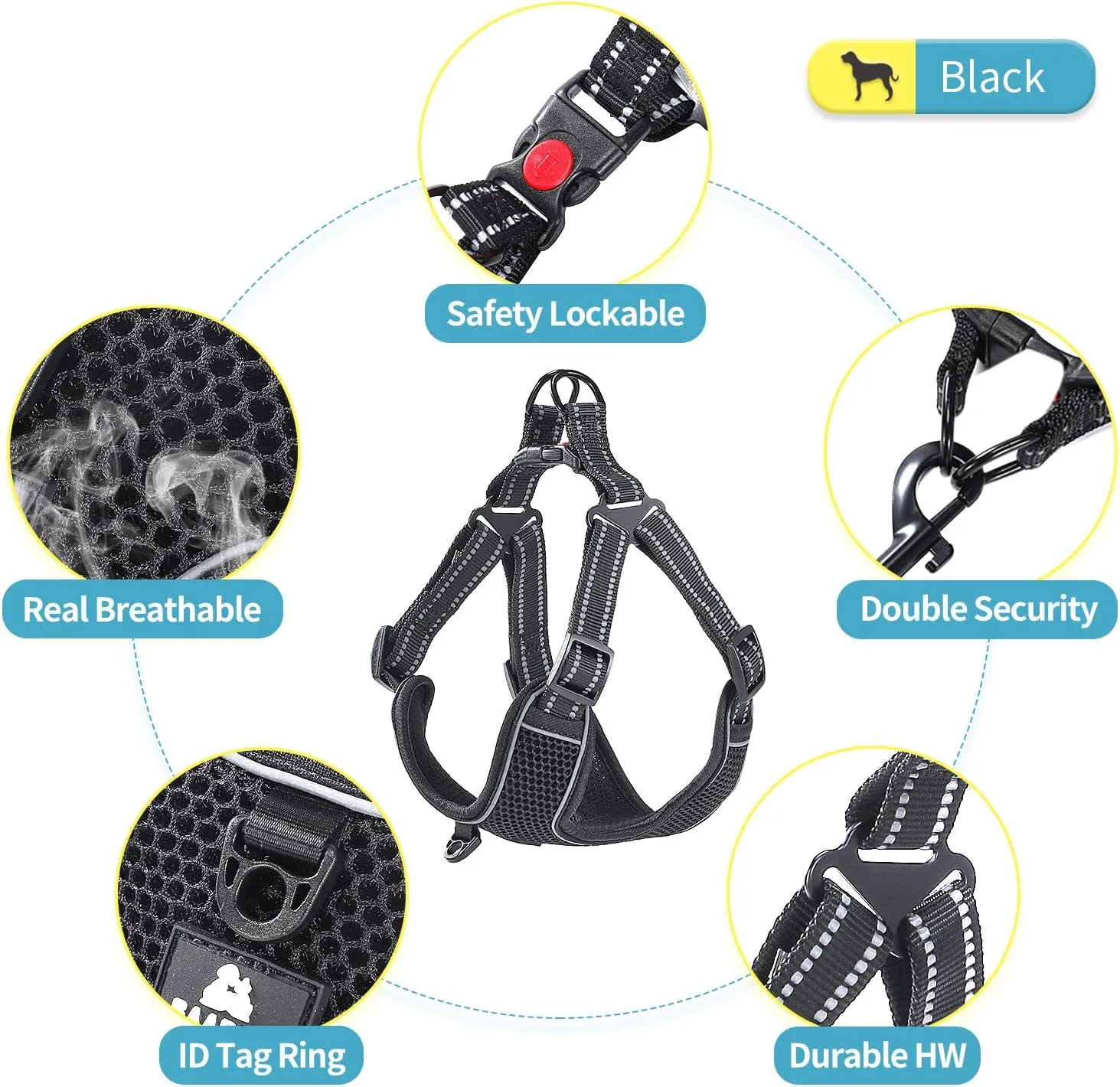 BAAPET Breathable Dog Harness for Small Puppy, Medium Dogs Step-in and Air Mesh with 6 Feet Reflective Rope Dog Leash (M - 6 FT x Chest (18~22''), Black)