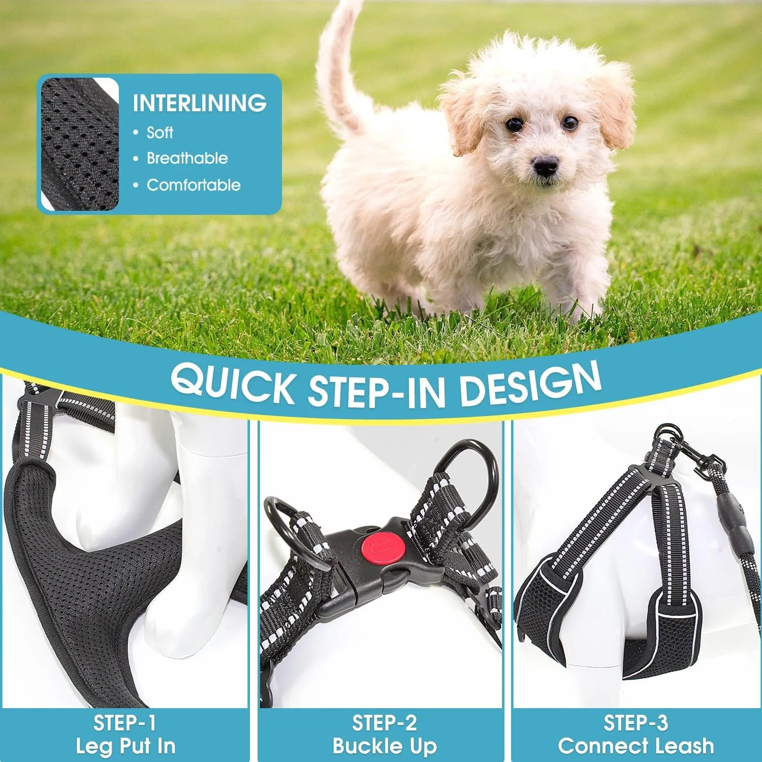 BAAPET Breathable Dog Harness for Small Puppy, Medium Dogs Step-in and Air Mesh with 6 Feet Reflective Rope Dog Leash (M - 6 FT x Chest (18~22''), Black)
