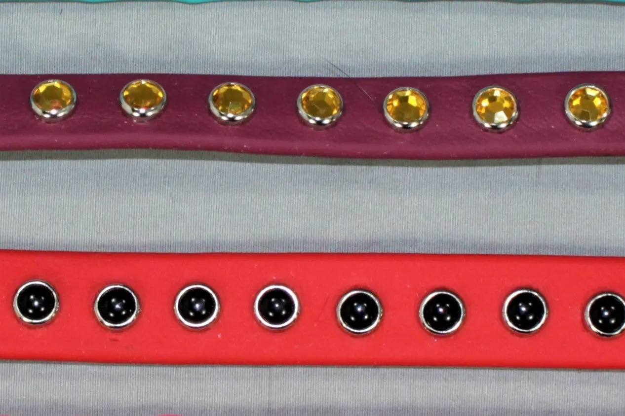 BioBling Leashes