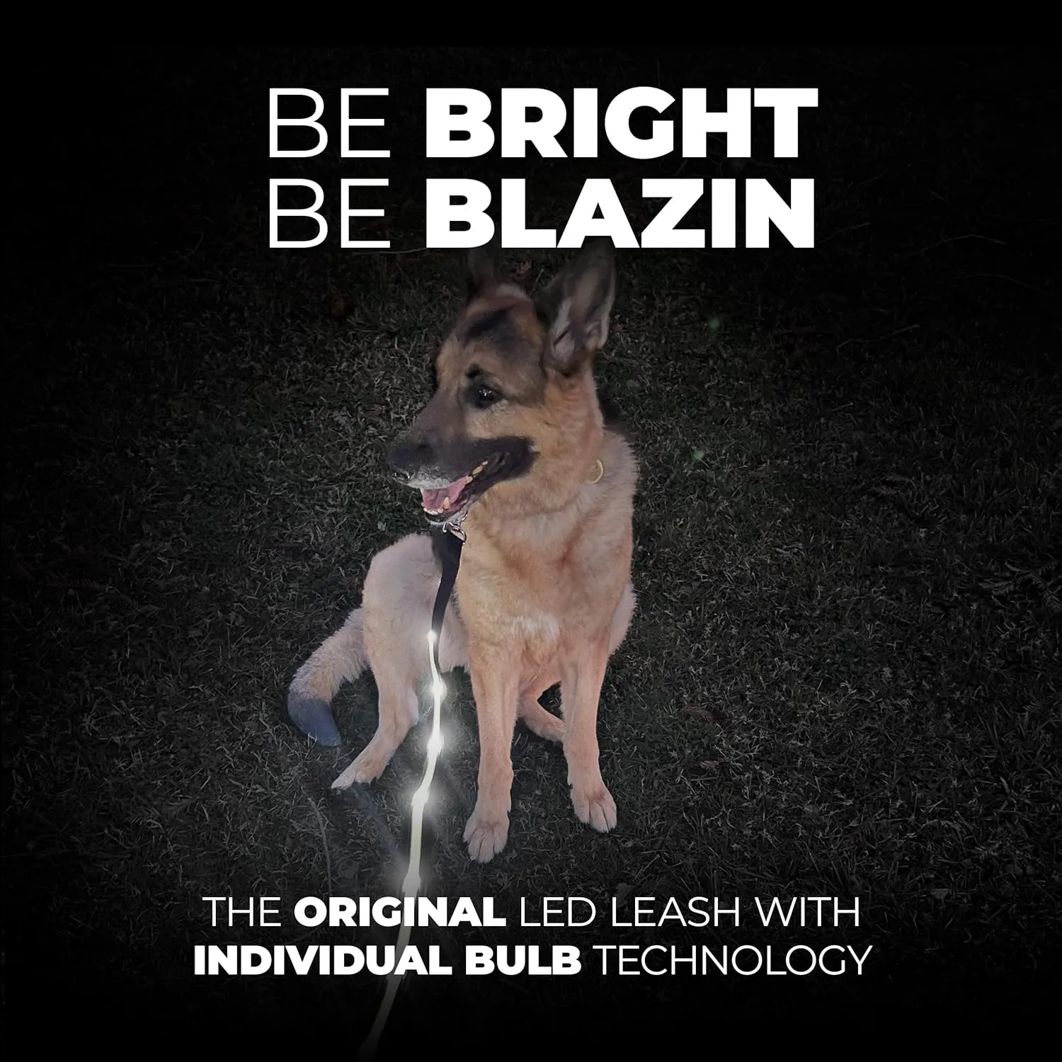 BLAZIN Light Up LED Dog Leash - 1,000 Feet Visibility - USB Rechargeable, Waterproof, Glow in Dark - 6 Foot, Lavender