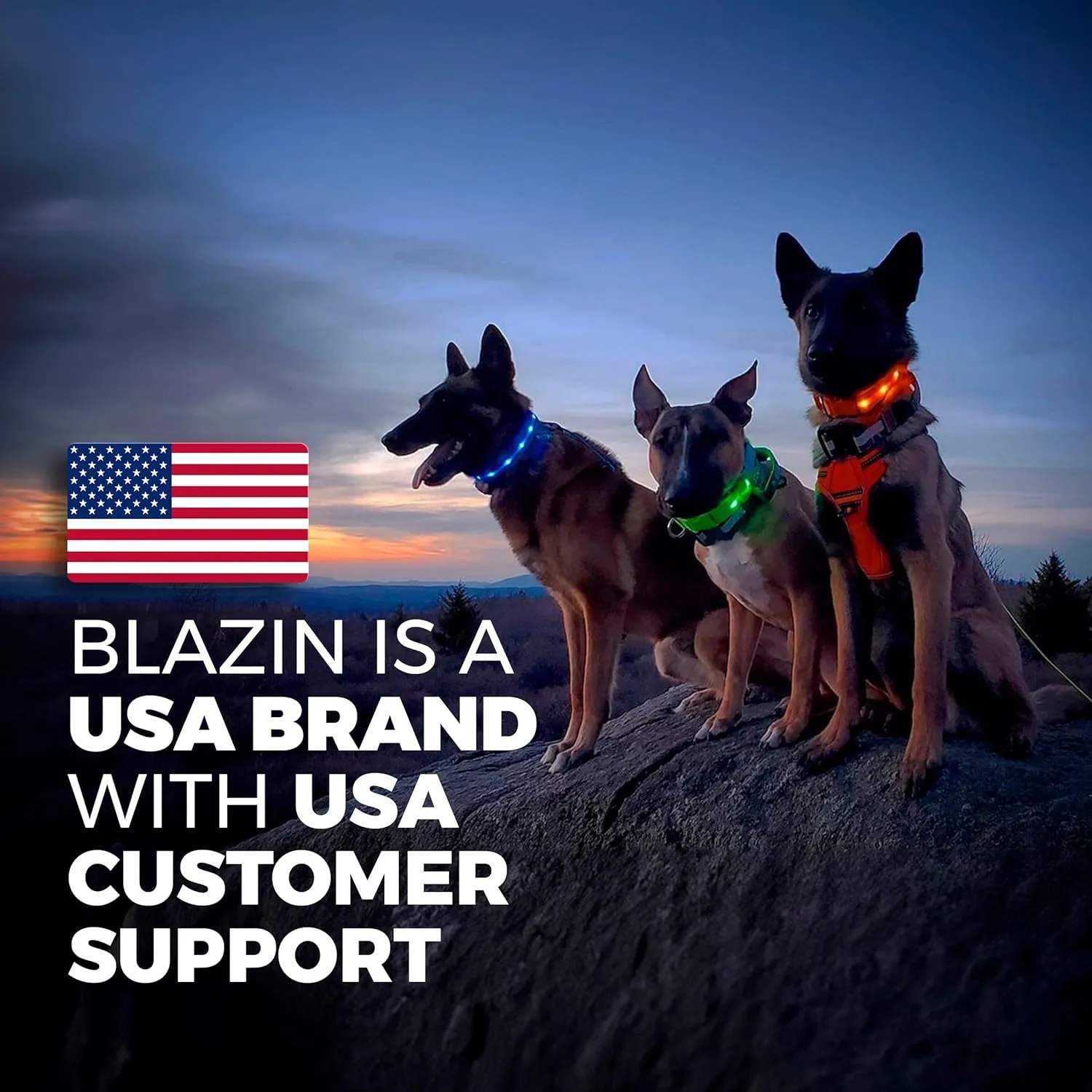 BLAZIN Light Up LED Dog Leash - 1,000 Feet Visibility - USB Rechargeable, Waterproof, Glow in Dark - 6 Foot, Lavender
