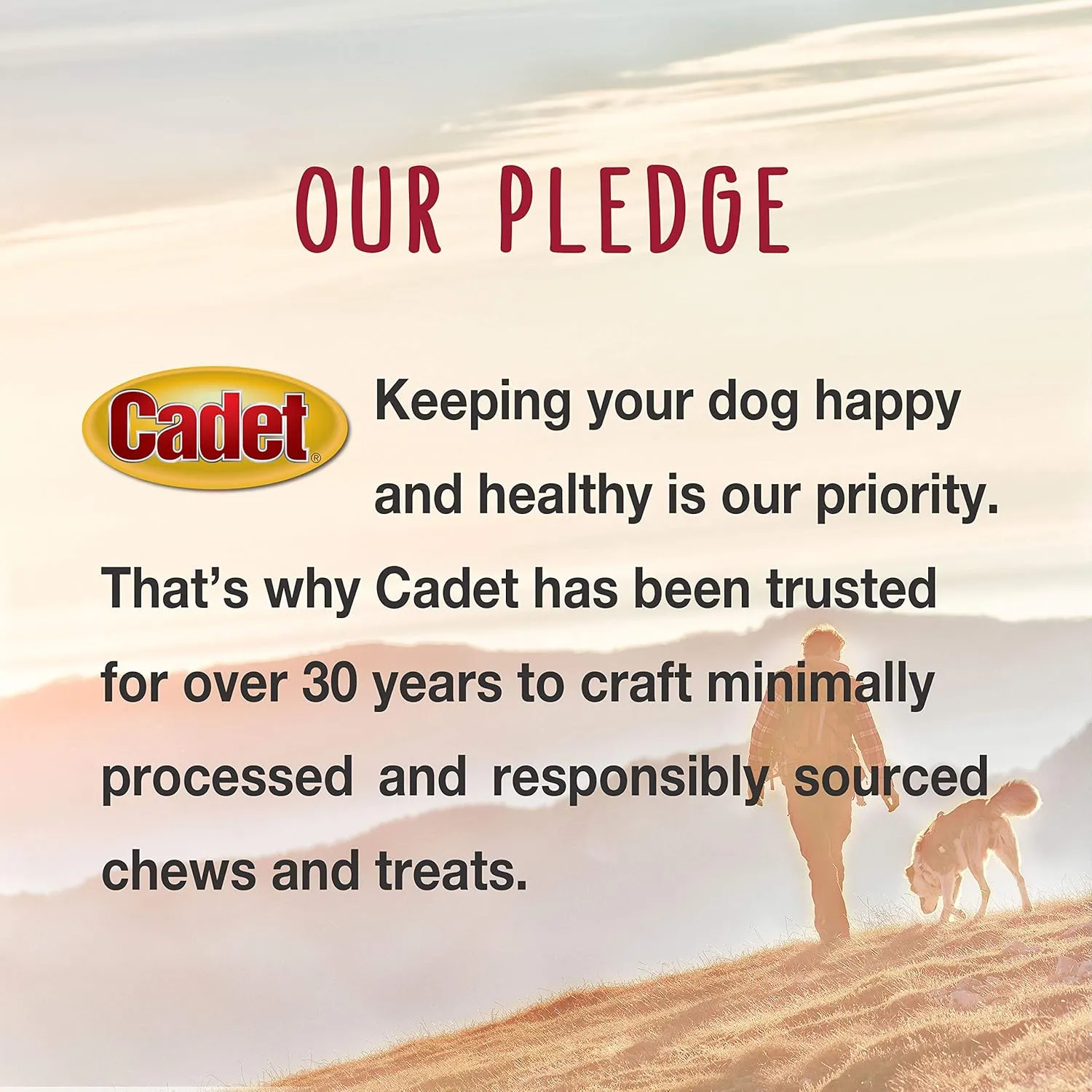 Cadet Gourmet Sweet Potato Steak Fries, Healthy Natural Chewy Dog Treats, Single-Ingredient, for Small & Large Dogs, 1 Pound