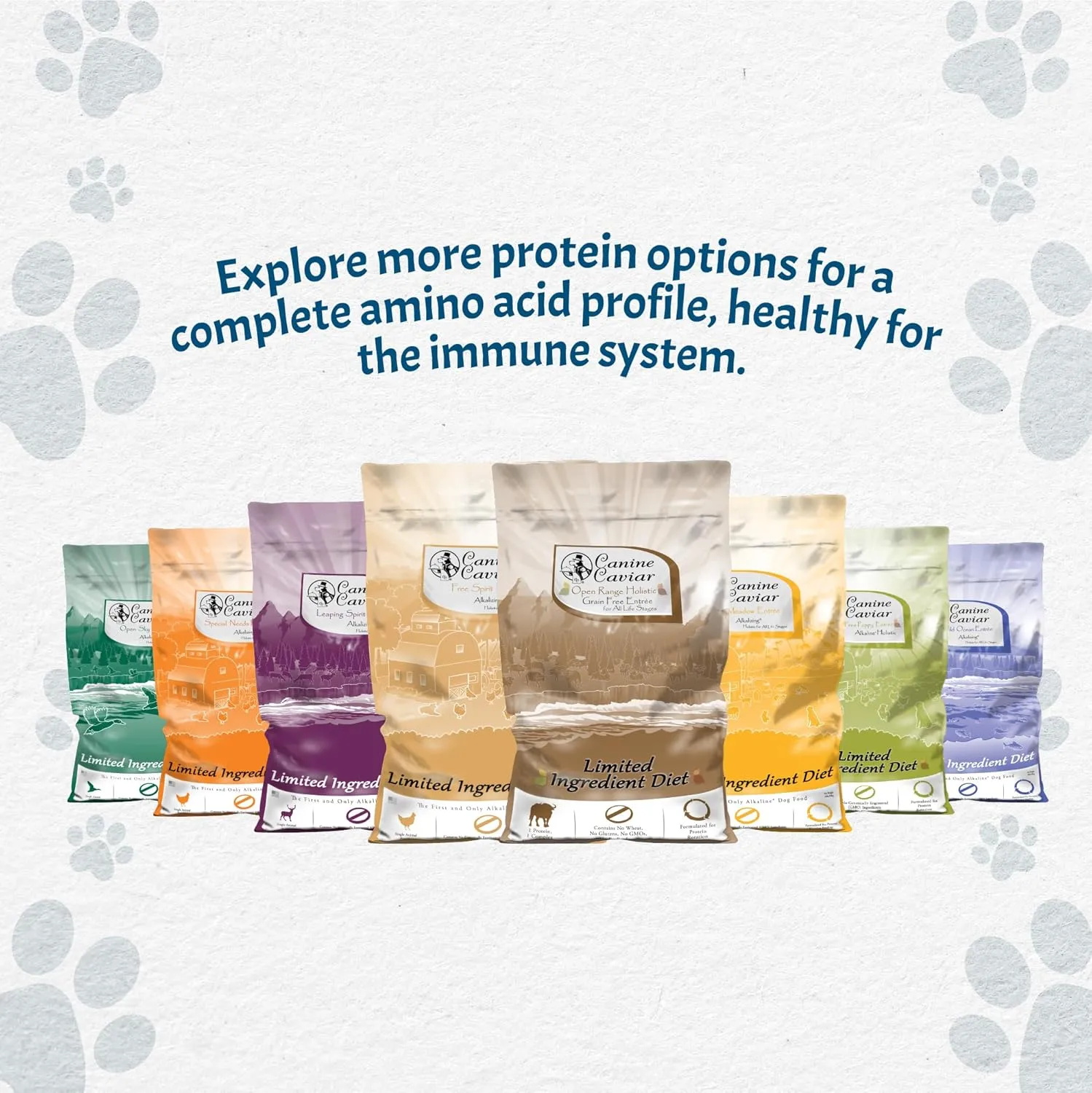 Canine Caviar - Wild Ocean: Herring & Teff Alkaline Dry Dog Food, Limited Ingredients, Gluten-Free, Based on Science & Research, Veterinary Alternative Diet (22 Pound Bag)