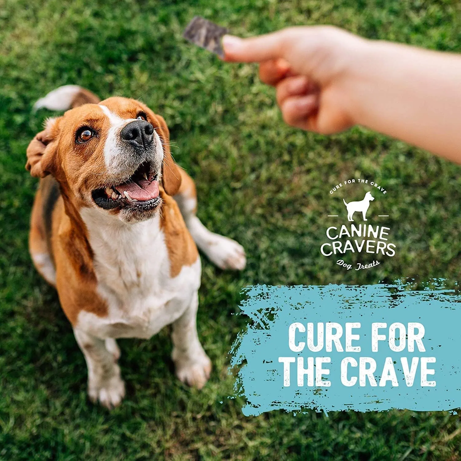 Canine Cravers Single Ingredient Dog Treats  Healthy and Nutritious Human Grade Air Dried Hypoallergenic Pet Food - Grain Free, Gluten Free and No Soy  100% All Natural Variety 3 Pack
