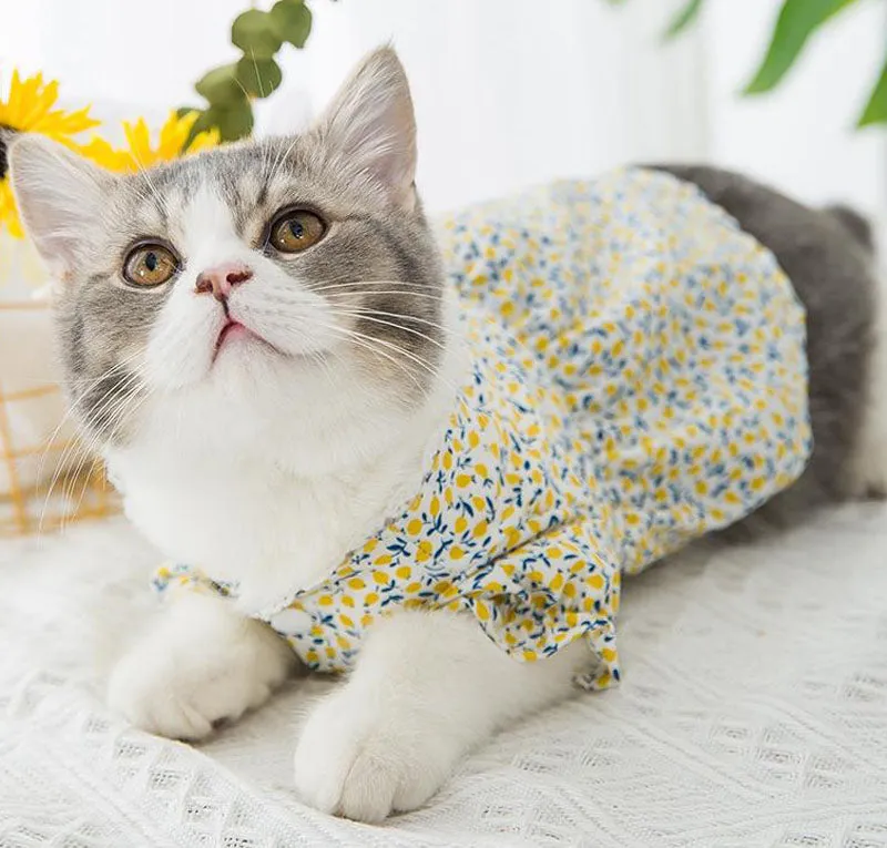 Cat skirt