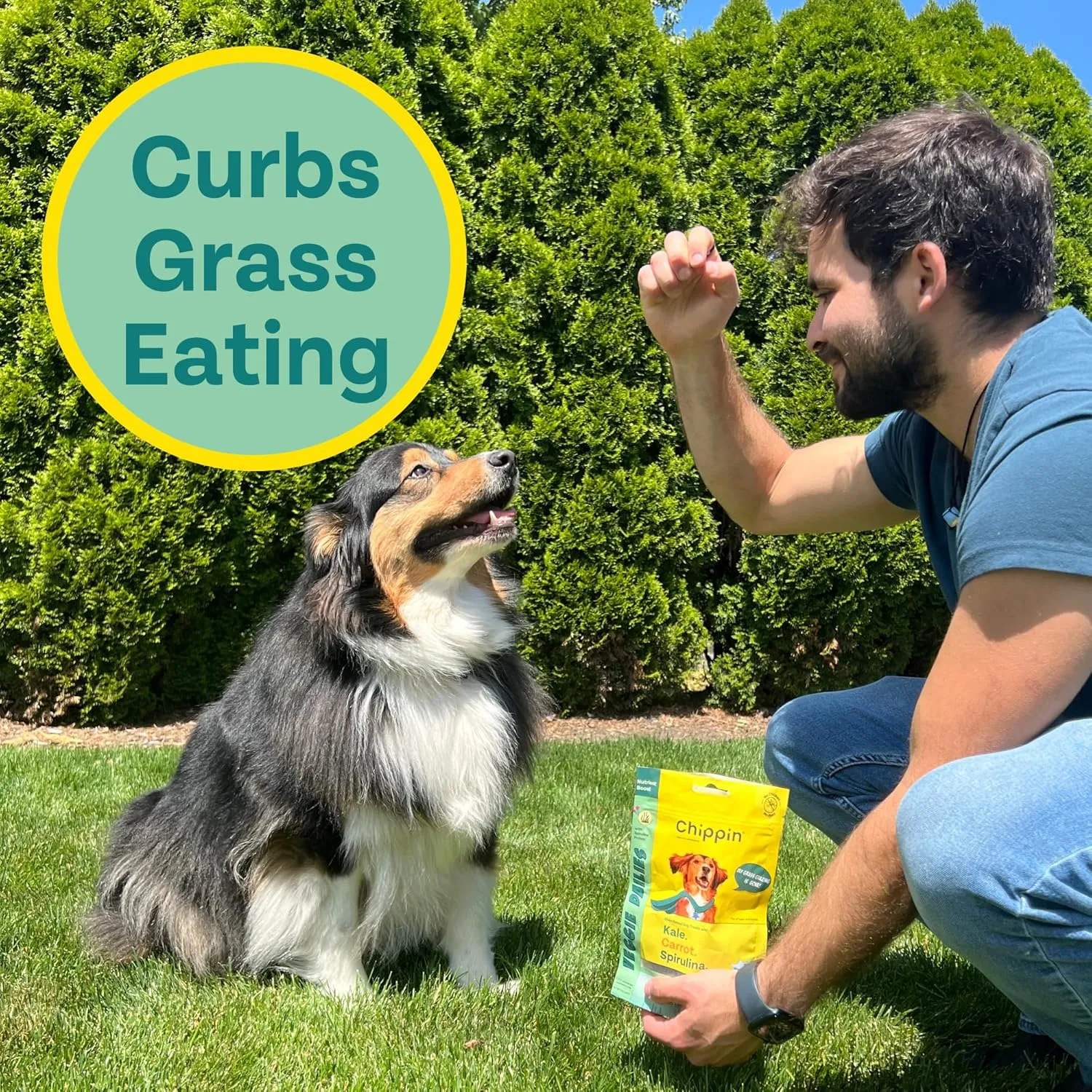 Chippin Dog Treats, Healthy Ingredients, Kale, Carrots, Spirulina, for Small, Medium, Large Dogs, Puppies, Seniors, Birthday Gift, Dog Training, Hypoallergenic, Made in USA, Training Treat