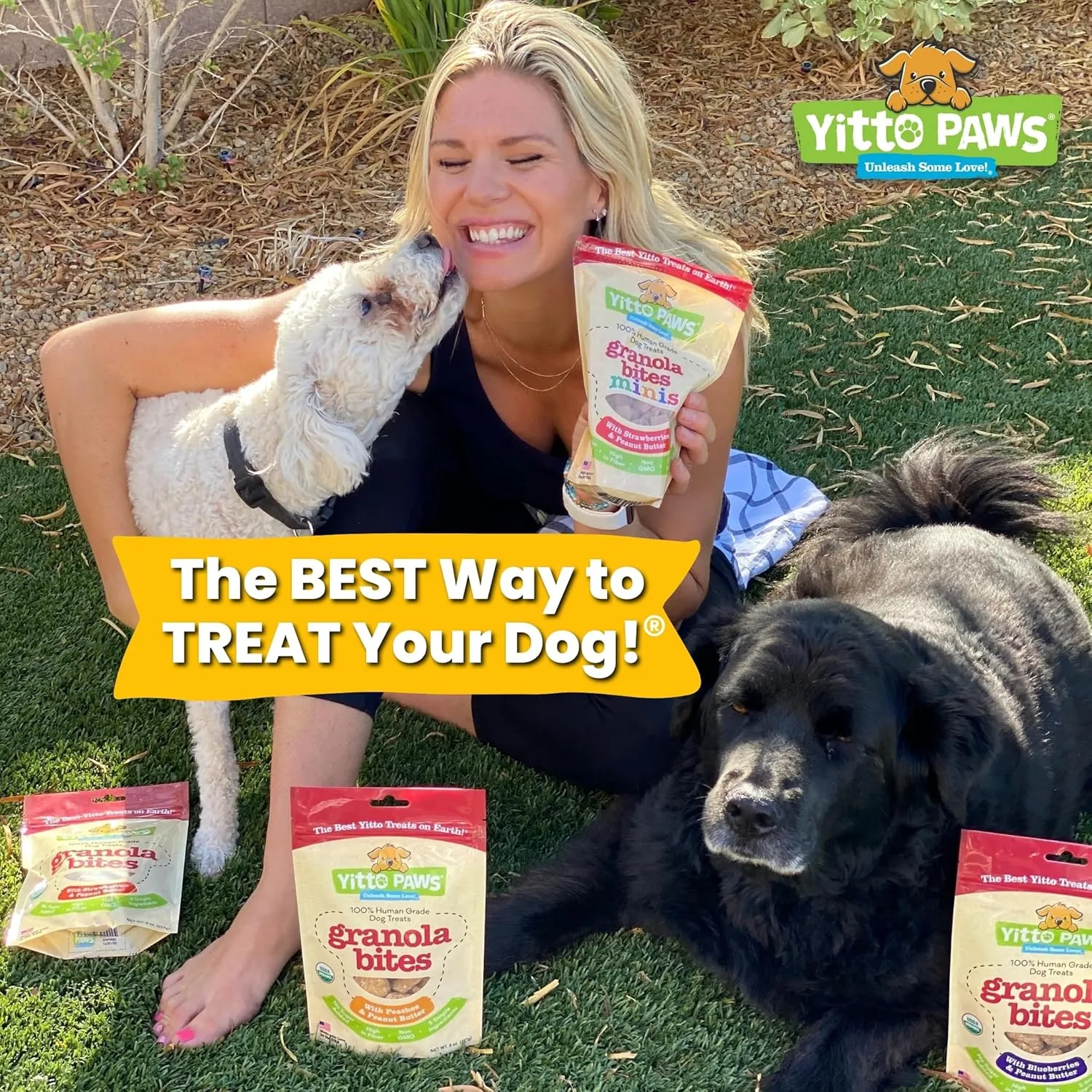 Crunchy Organic Peanut Butter Dog Treats, Strawberry & Oats Healthy Dog Treats, Vegan All Natural Dog Training Treats Made in USA Only  Low Calorie, Human-Grade, No Sugar Added Dog Biscuits