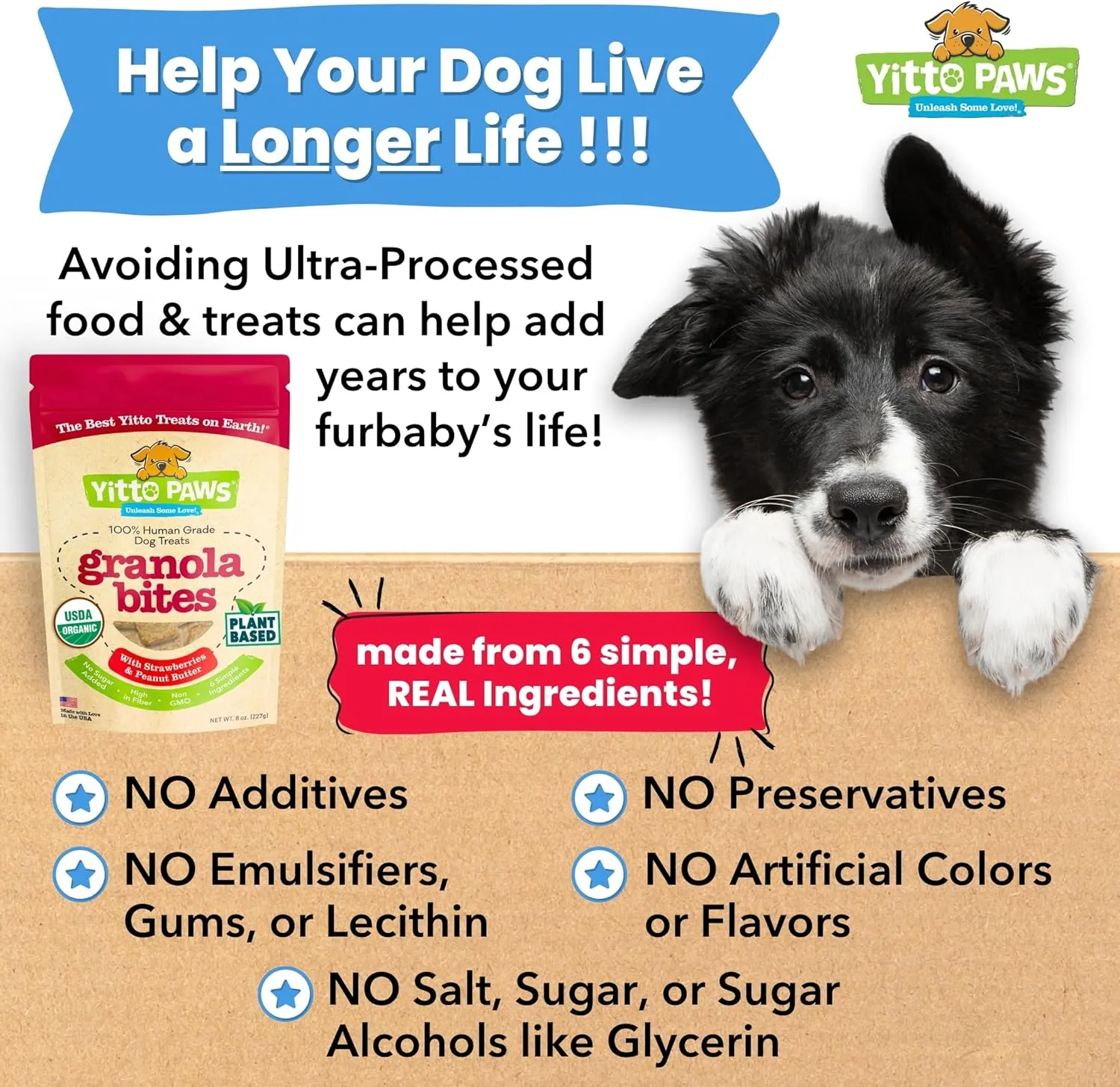 Crunchy Organic Peanut Butter Dog Treats, Strawberry & Oats Healthy Dog Treats, Vegan All Natural Dog Training Treats Made in USA Only  Low Calorie, Human-Grade, No Sugar Added Dog Biscuits