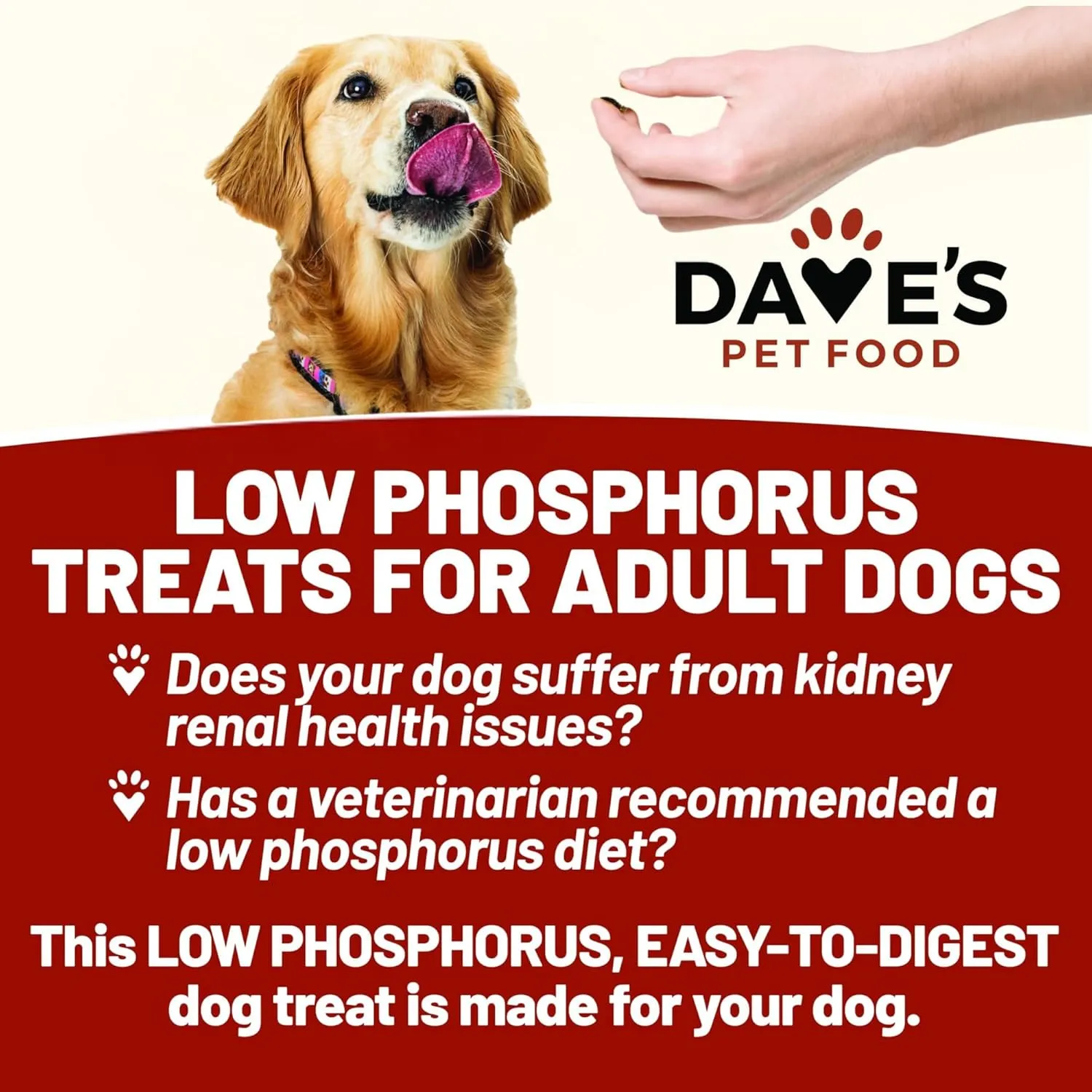 Dave's Pet Food Kidney Dog Treat for Renal Diet, Semi-Moist Sweet Potato Treats, Low Phosphorus Chewy Treats, Kidney Support for Dogs, Complements Friendly Dog Food (1 Pack)