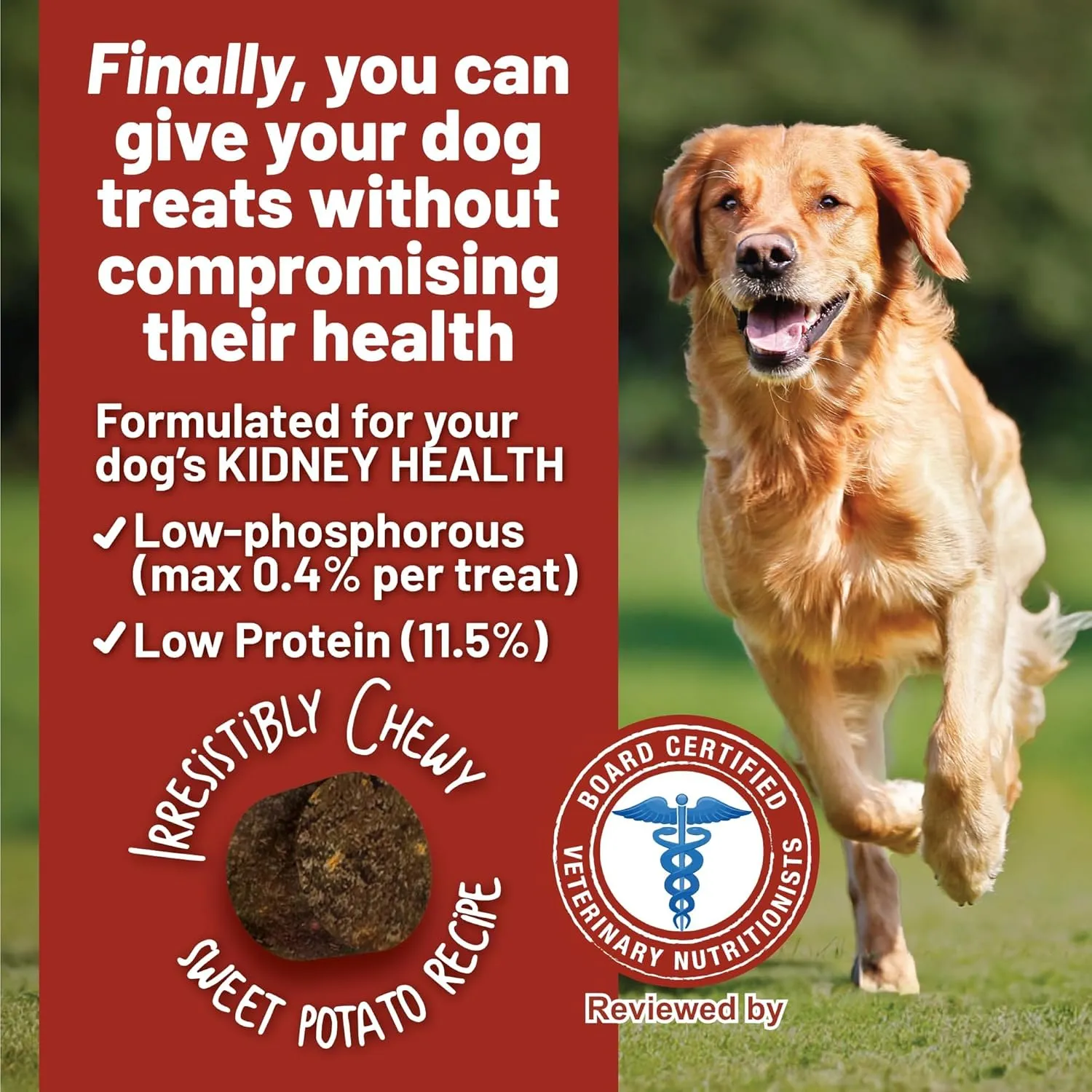Dave's Pet Food Kidney Dog Treat for Renal Diet, Semi-Moist Sweet Potato Treats, Low Phosphorus Chewy Treats, Kidney Support for Dogs, Complements Friendly Dog Food (1 Pack)
