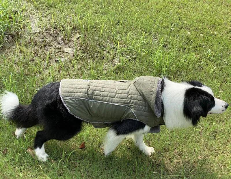 Detachable cap autumn and winter pet clothes