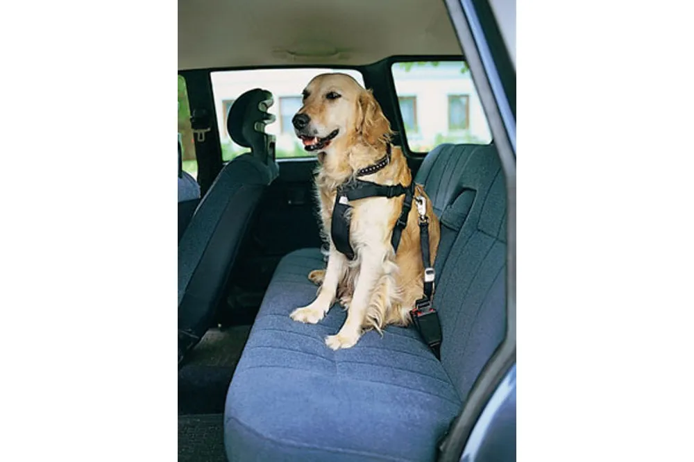 Dog Car Safety Harness - XS
