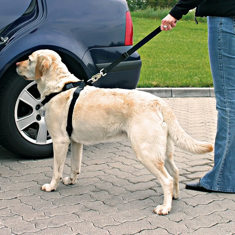 Dog Car Safety Harness - XS