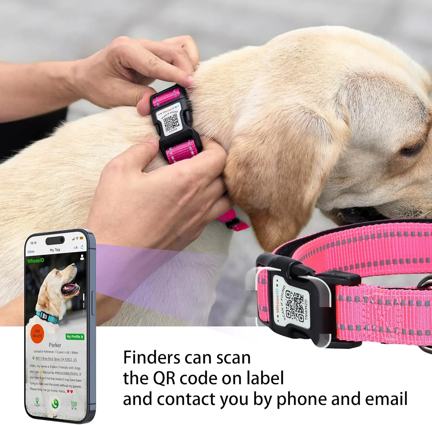 Dog Collar with QR Code, Reflective Dog Collar, Soft Neoprene Padded & Safety Locking Buckle Adjustable Pet Collar (Rose, L-with Airtag Holder)