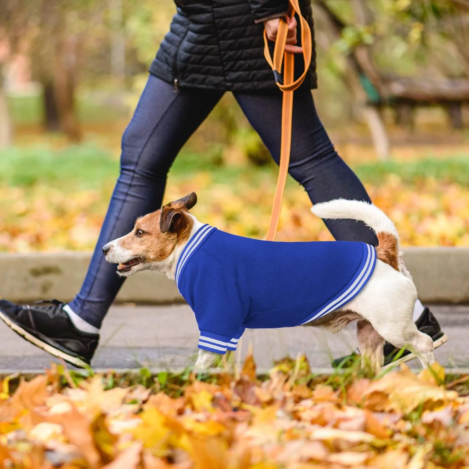 Dog Sweater Dog Clothes Brushed Fleece Baseball Jacket Soft Warm Dog Sweatshirt Dog Sweaters for Small Dogs Puppy Sweater Boy Girl Pet(Blue-XS)
