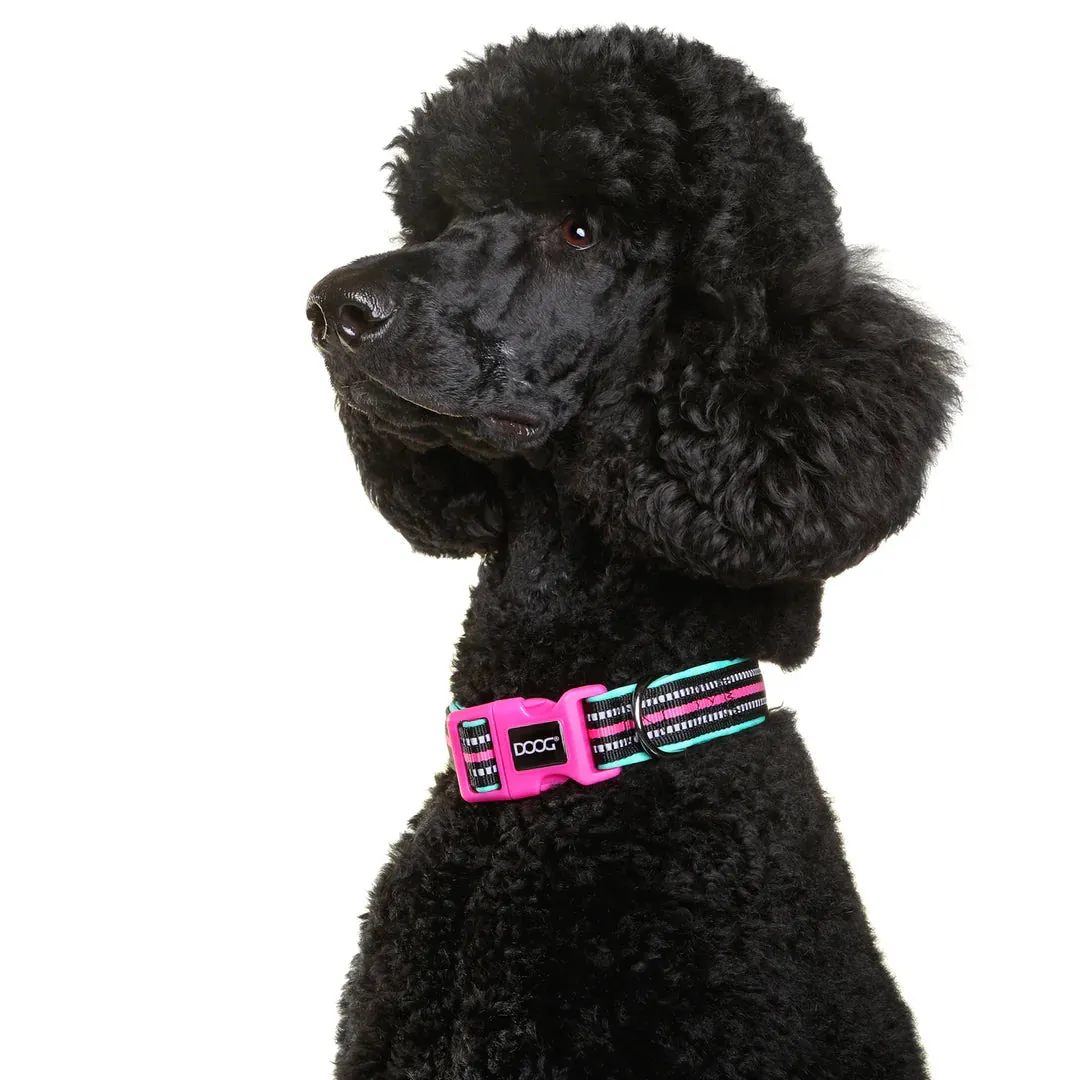 DOOG Neoprene Rin Tin Tin Neon Teal and Pink Dog Collar Medium^^^