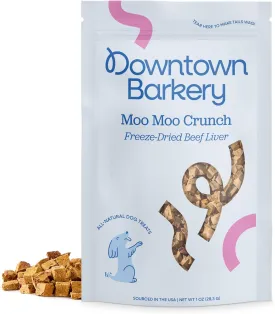 Downtown Pet Supply Barkery Freeze Dried Dog Treats - Single Ingredient, Low Calorie, Rich in Vitamins and Minerals - All Natural - Freeze Dried Beef Liver Dog Treats, 1 Oz