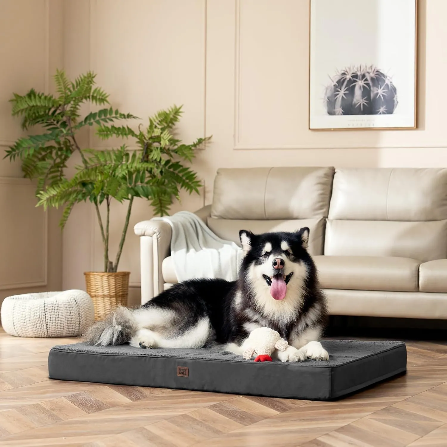 EHEYCIGA Orthopedic XXL Dog Beds for Jumbo Dogs with Removable Washable Cover, Grey, 50x36