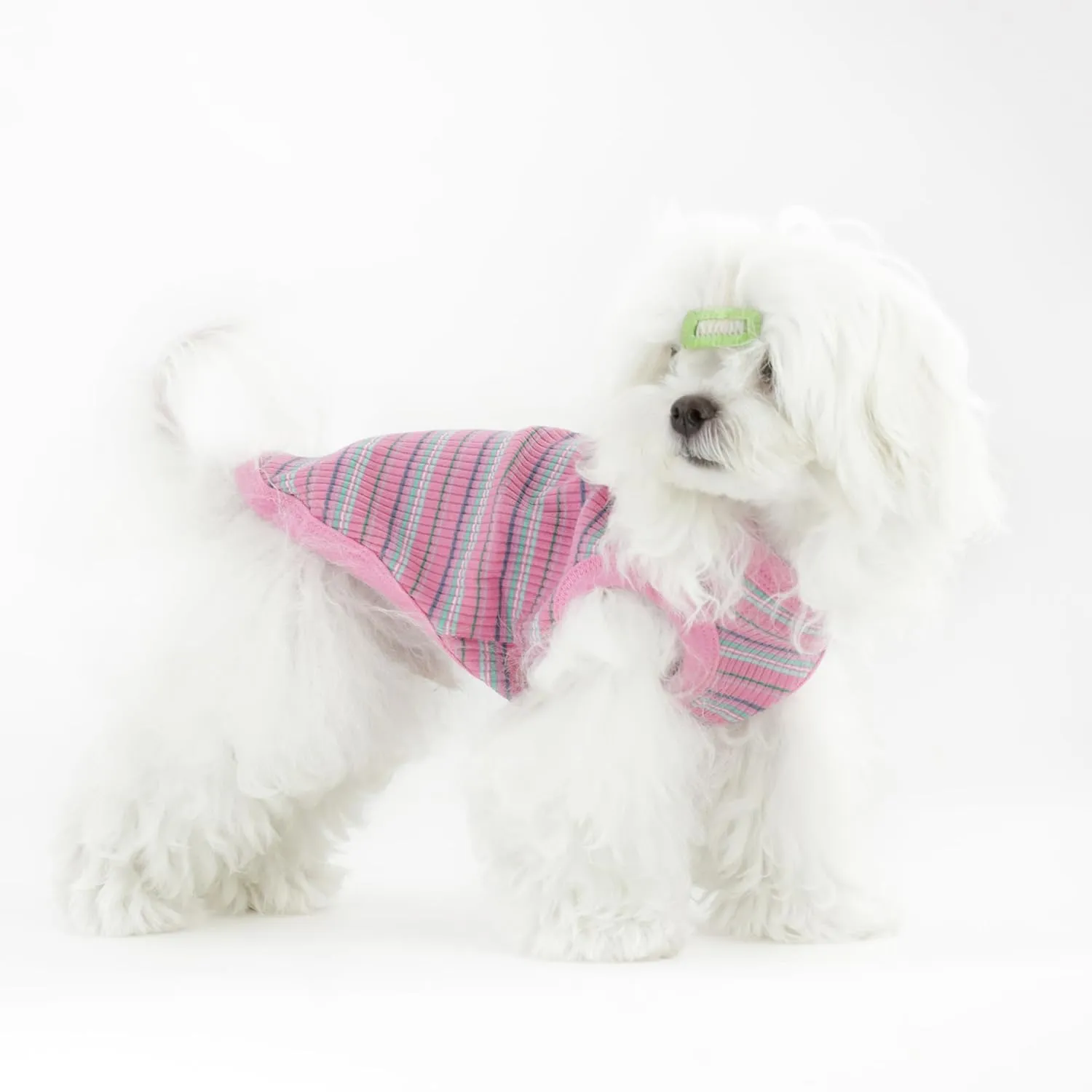 Elevate Your Pet's Comfort and Fashion: Premium 100% Cotton Rib Dog Shirt Vest for Small Breeds Like Chihuahuas, Yorkies, and Puppies .Year-Round Style with Tank-Style Puppy Attire Green Medium