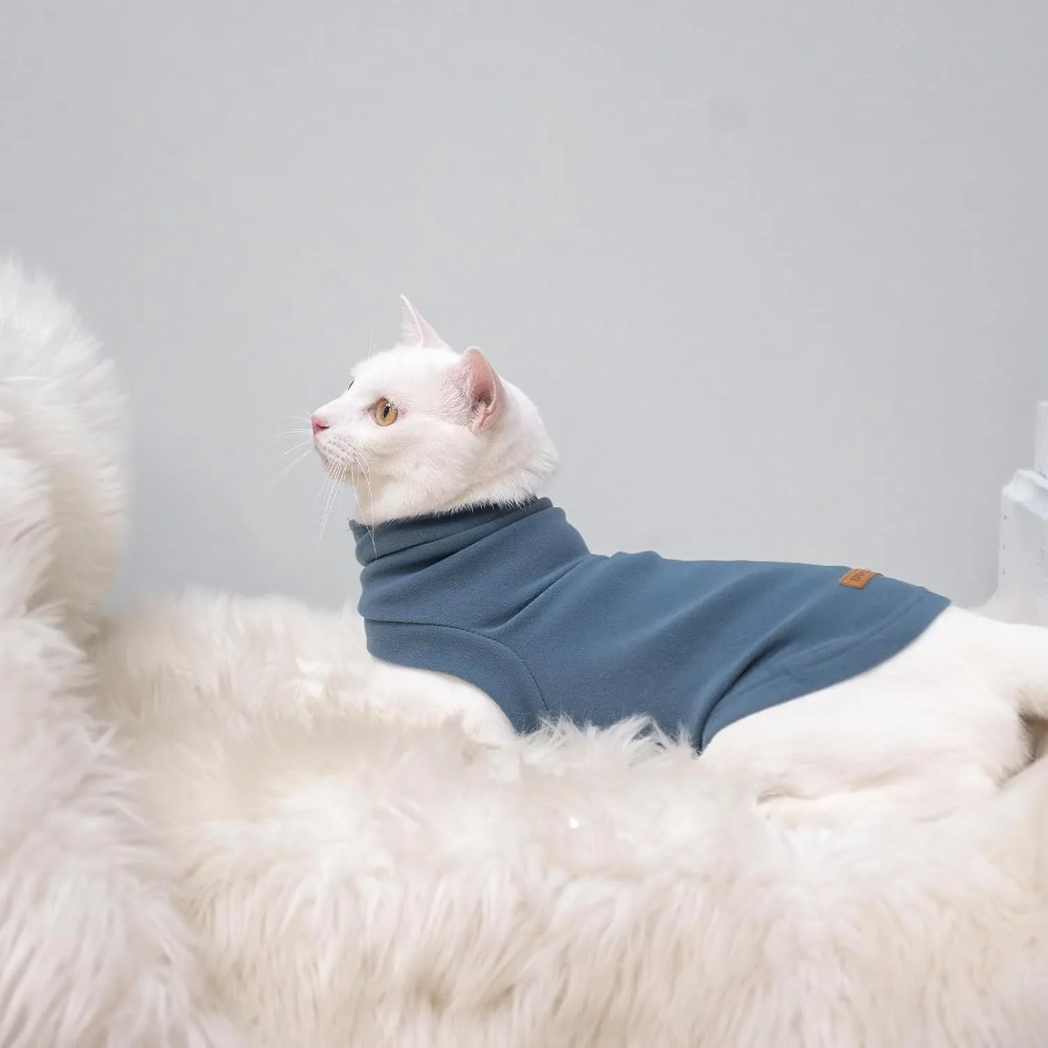 EXPAWLORER Soft Cat Sweater - Cat Sweaters - Warm Clothes for Cats & Small Dogs, Pregnant Dogs Included, Winter Pullover Design, Soft Fleece Sweatshirt, Blue Size S