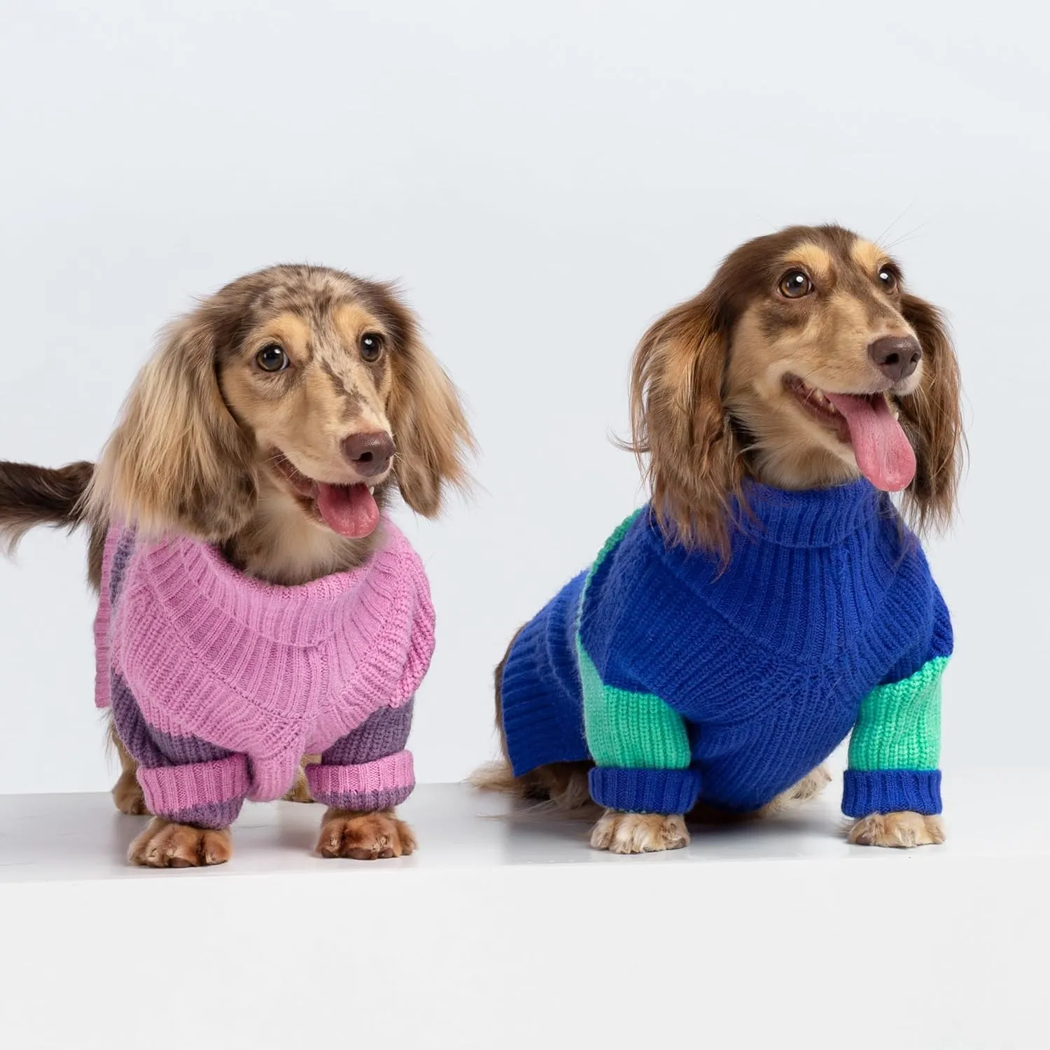 Fitwarm Color Block Dog Sweater, Thermal Dog Winter Clothes for Small Dogs Boy Girl, Soft Turtleneck Sweater for Dog, Pet Outfit, Royal Blue, Turquoise Green, Large