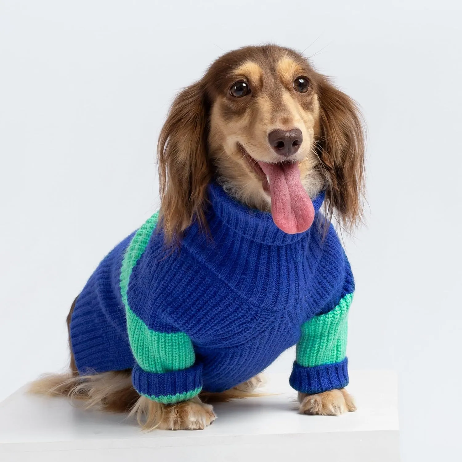 Fitwarm Color Block Dog Sweater, Thermal Dog Winter Clothes for Small Dogs Boy Girl, Soft Turtleneck Sweater for Dog, Pet Outfit, Royal Blue, Turquoise Green, Large