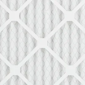 Flanders NaturalAire Standard Air Filter, MERV 8, 20" X 20" X 1"