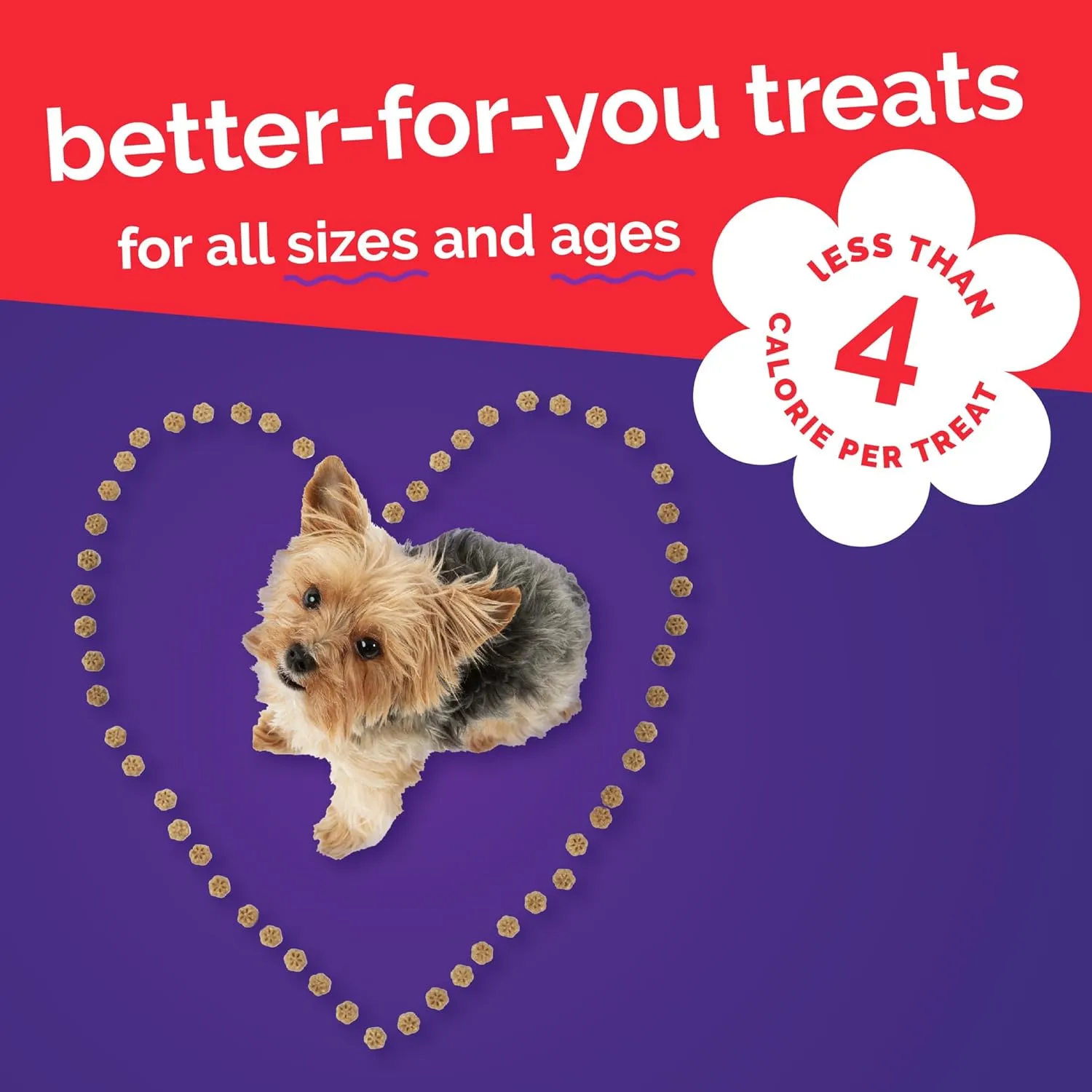 Fruitables Skinny Mini Dog Treats, Healthy Sweet Potato Treat for Dogs, Low Calorie & Delicious, Puppy Training, Free of Wheat, Corn and Soy, Made in the USA, Bacon and Apple Flavor, 12oz