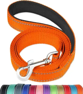 FunTags 6FT Reflective Dog Leash with Soft Padded Handle for Training,Walking Lead for Large & Medium Dog,1 Inch Wide,Orange