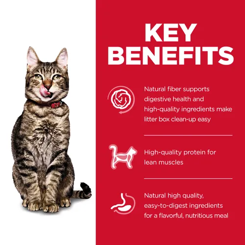 Hill's Science Diet Adult 7  Indoor Chicken Recipe Cat Food