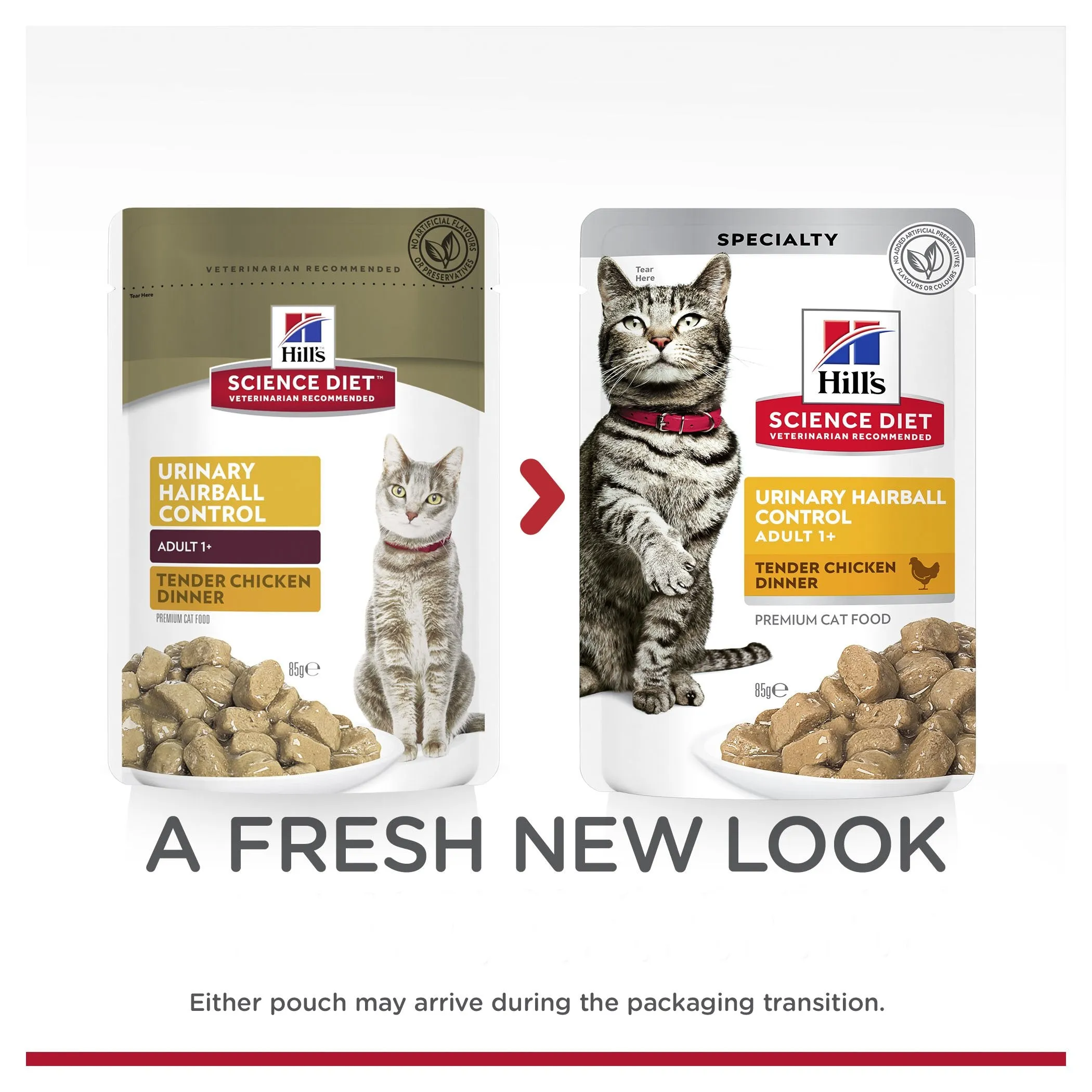 Hills Science Diet Adult Urinary Hairball Control Chicken Cat Food Pouches 85g^^^