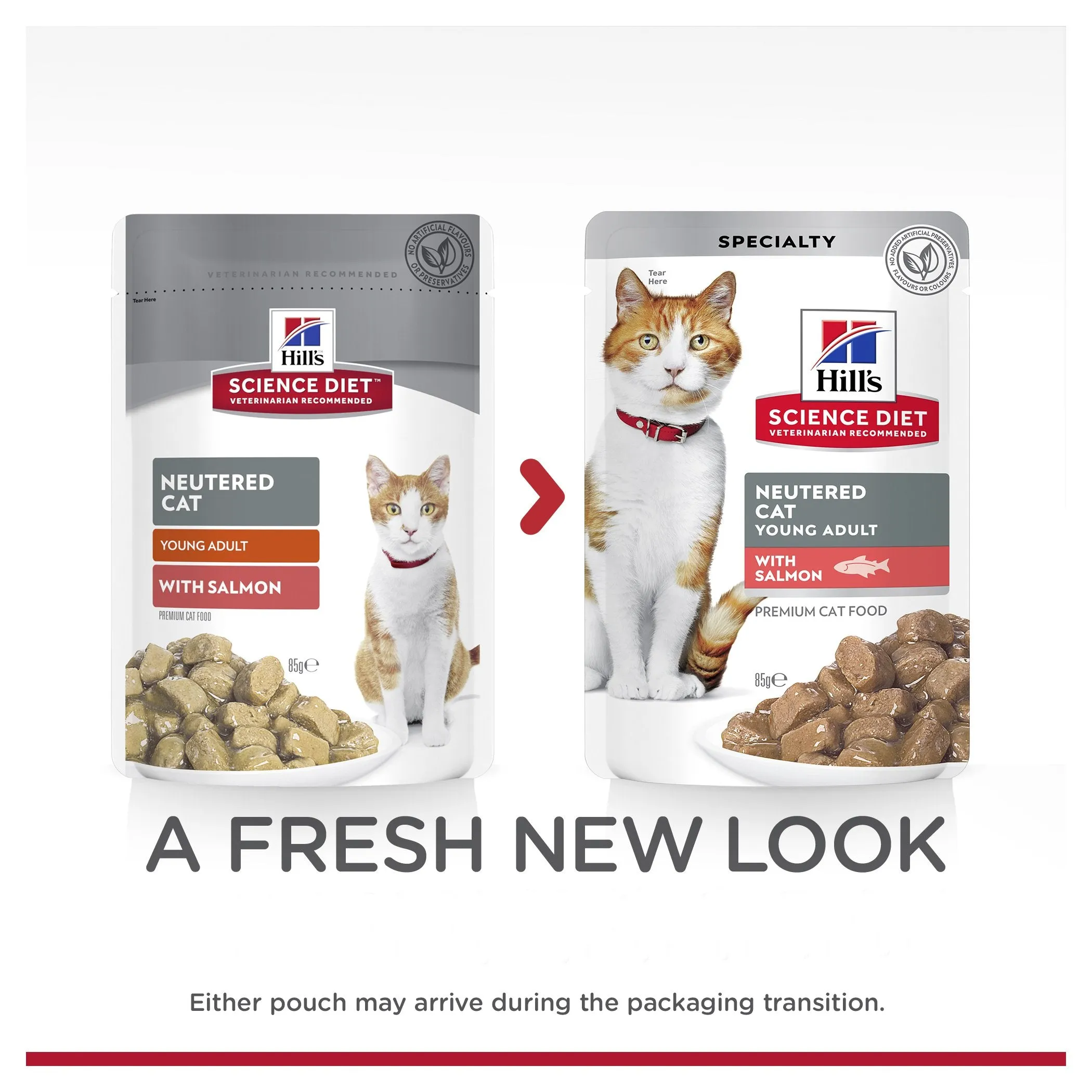 Hills Science Diet Young Adult Neutered Salmon Cat Food Pouches 85g x 12^^^