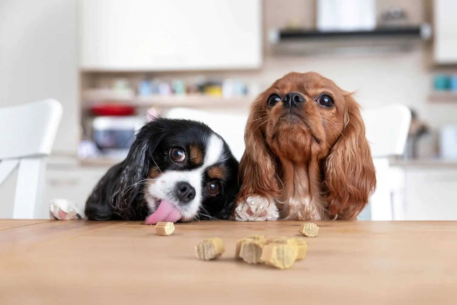 Hive Dog Training Treats  Healthy, Non-GMO Project Verified, Natural Peanut Butter Flavored, Vegetarian, Grain Free Dog Treat for Small and Large Dogs, Made in The USA