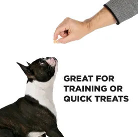 Hive Dog Training Treats  Healthy, Non-GMO Project Verified, Natural Peanut Butter Flavored, Vegetarian, Grain Free Dog Treat for Small and Large Dogs, Made in The USA
