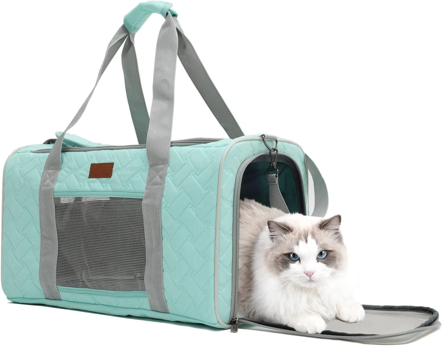 HSC PET ,,15 /18 ()