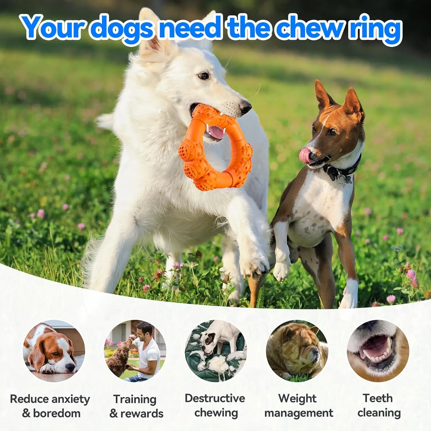 Indestructible Dog Chew Ring Toys Aggressive Chewers Super Chewer Dog Toys Medium Large Dogs Puppy Teething Rings Relax,Interactive Dog Ring Toys Boredom,Heavy Duty Dog Teething Toys