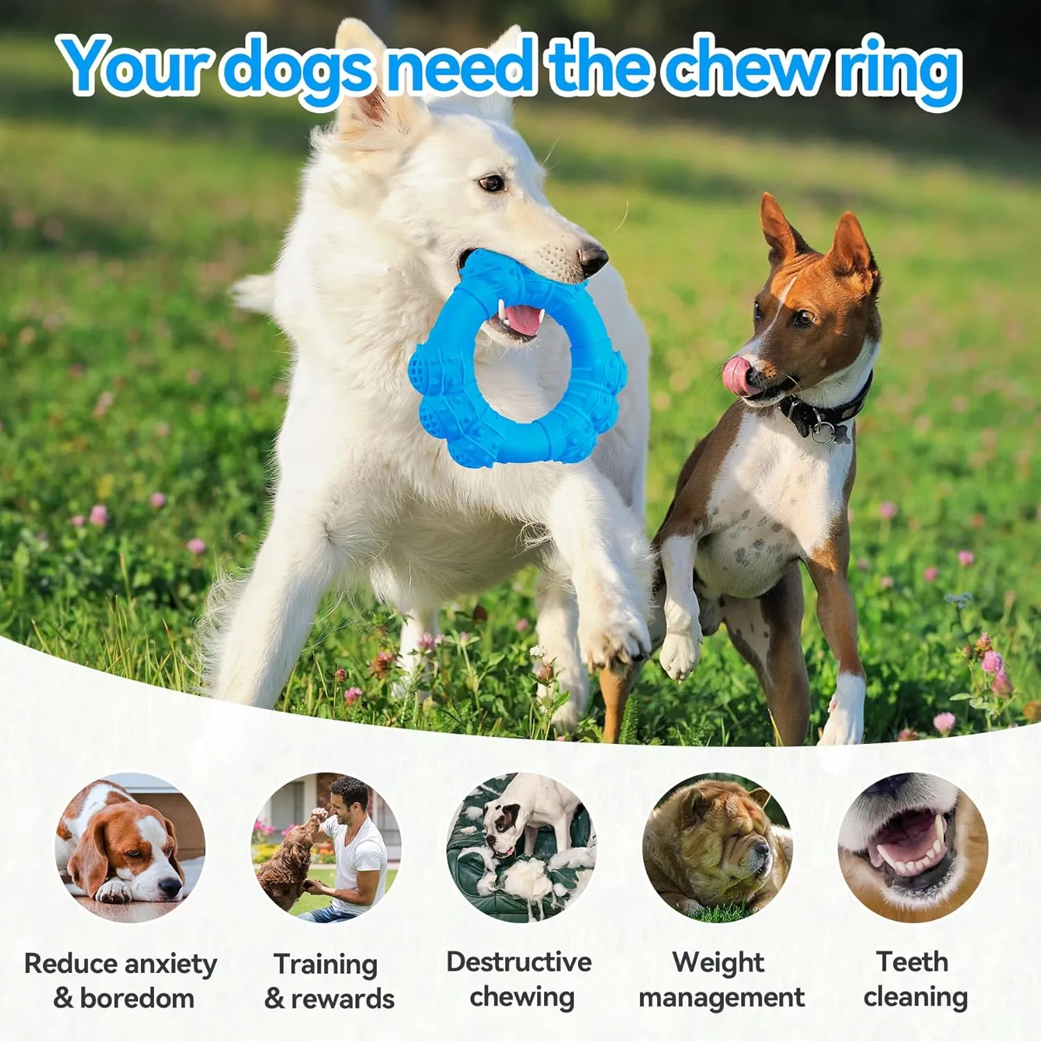 Indestructible Dog Chew Ring Toys for Aggressive Chewers, Super Chewer Dog Toys for Medium Large Dogs, Puppy Teething Rings for Relax, Interactive Dogs Ring Toy, Heavy Duty Dogs Teething Toy
