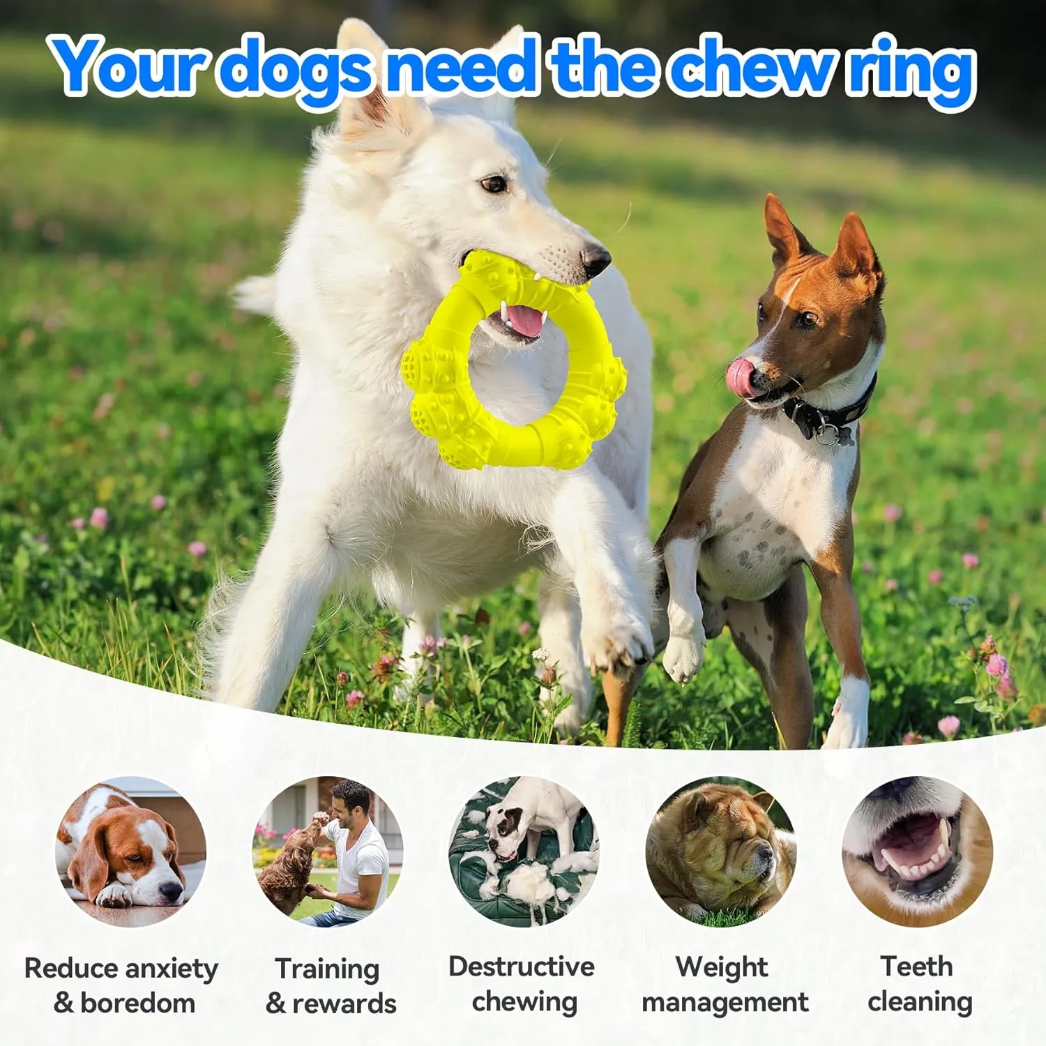 Indestructible Dog Chew Ring Toys for Aggressive Chewers, Super Chewer Dog Toys for Medium Large Dogs, Puppy Teething Rings for Relax, Interactive Dogs Ring Toy, Heavy Duty Dogs Teething Toy