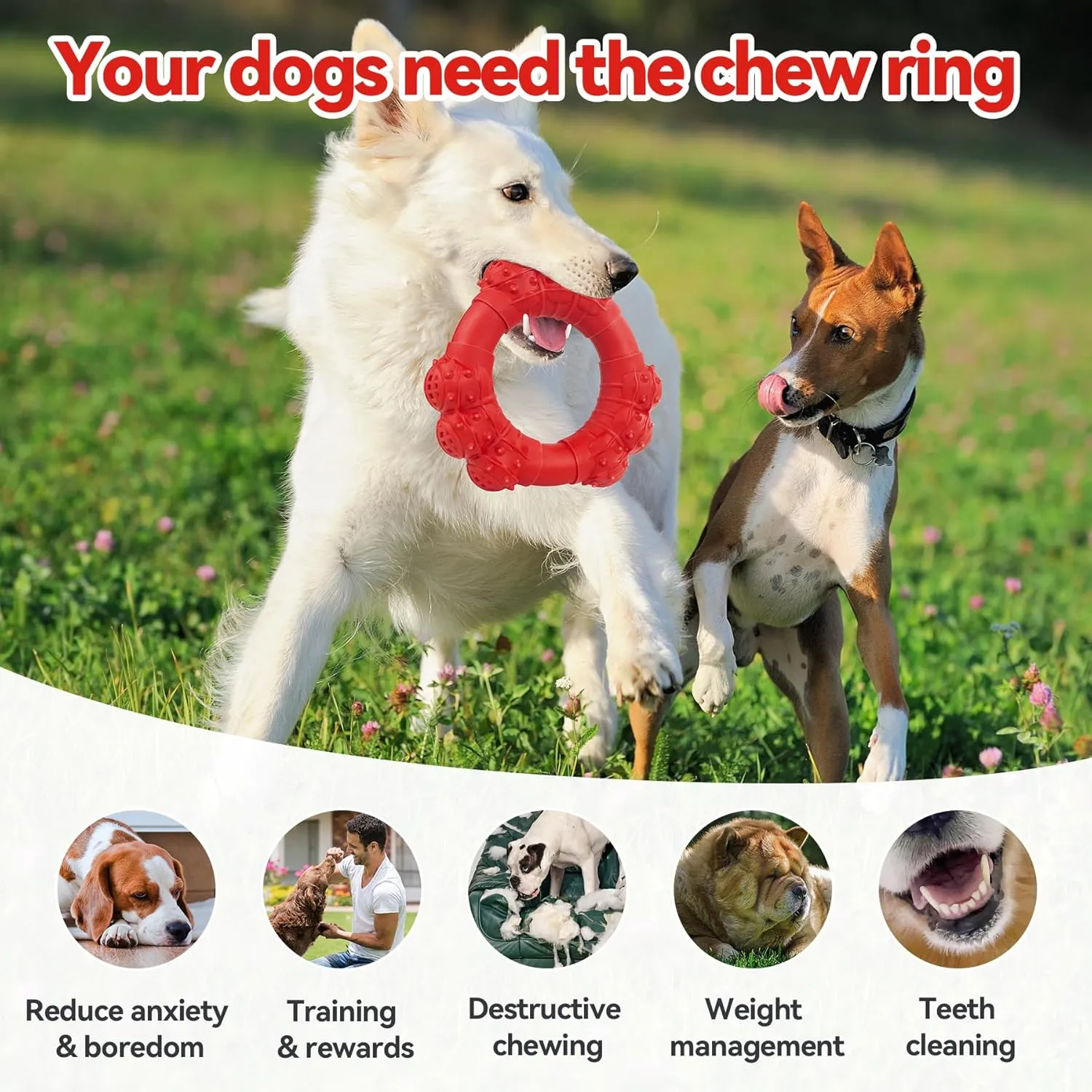 Indestructible Dog Chew Toys for Aggressive Chewers, Super Chewer Toys for Medium Large Dogs, Interactive Ring Toys, Heavy Duty Teething Toy
