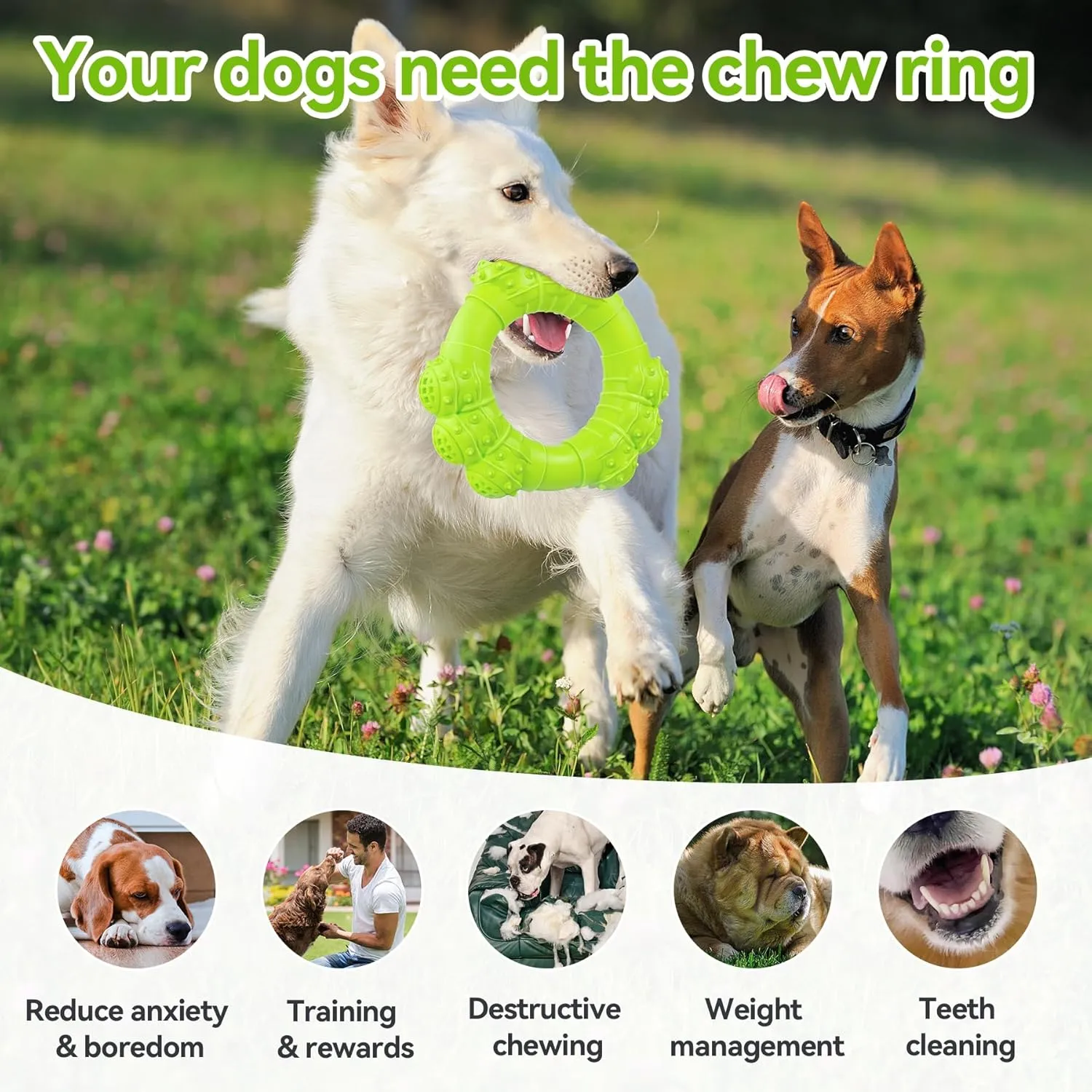 Indestructible Dog Chew Toys for Aggressive Chewers, Super Chewer Toys for Medium Large Dogs, Interactive Ring Toys, Heavy Duty Teething Toy