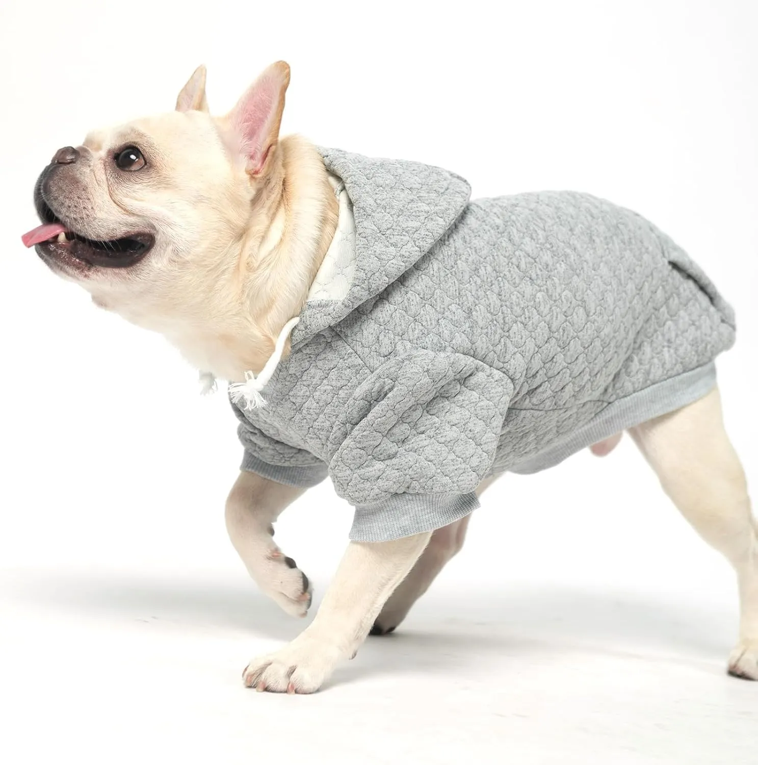 KOOLTAIL Dog Hoodie Pet Clothes Sweater with Hat and Pocket for Small Medium Large Dogs, Warm Soft Dog Cold Weather Coat, Clover Laminated Cotton Hooded Sweatshirt Outfit for Puppy Cats, Grey SM