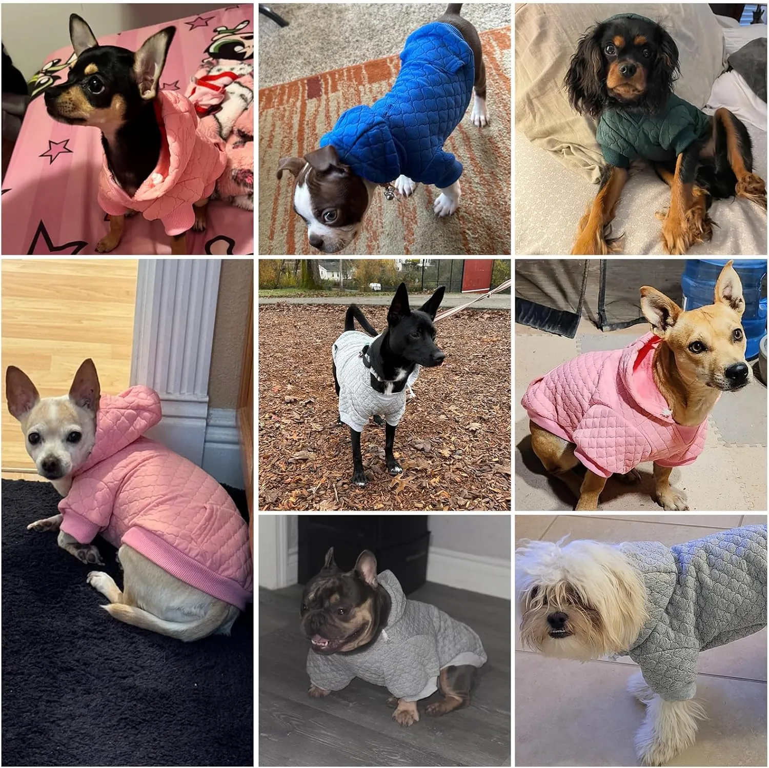 KOOLTAIL Dog Hoodie Pet Clothes Sweater with Hat and Pocket for Small Medium Large Dogs, Warm Soft Dog Cold Weather Coat, Clover Laminated Cotton Hooded Sweatshirt Outfit for Puppy Cats, Grey SM