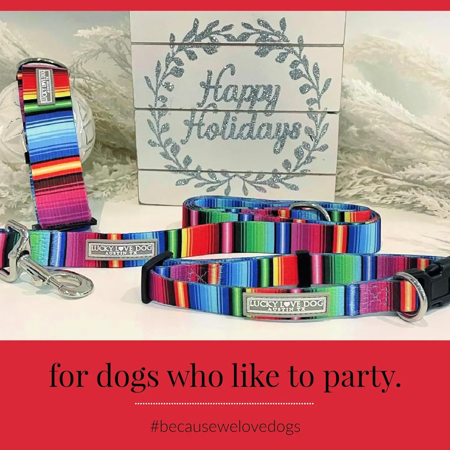 Lucky Love Dog Leash, Colorful Striped Dog Leash for Large Dogs, Durable & Long Lasting, (Nacho, Large)